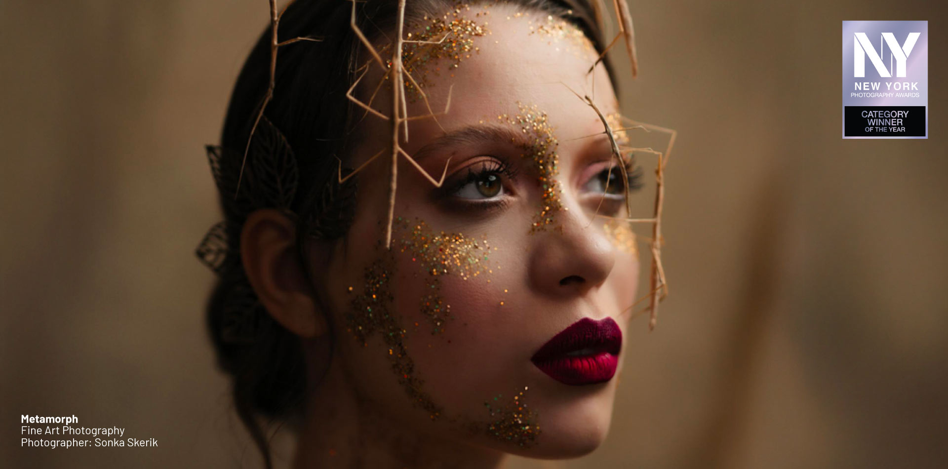 Fine Art Photography of the Year