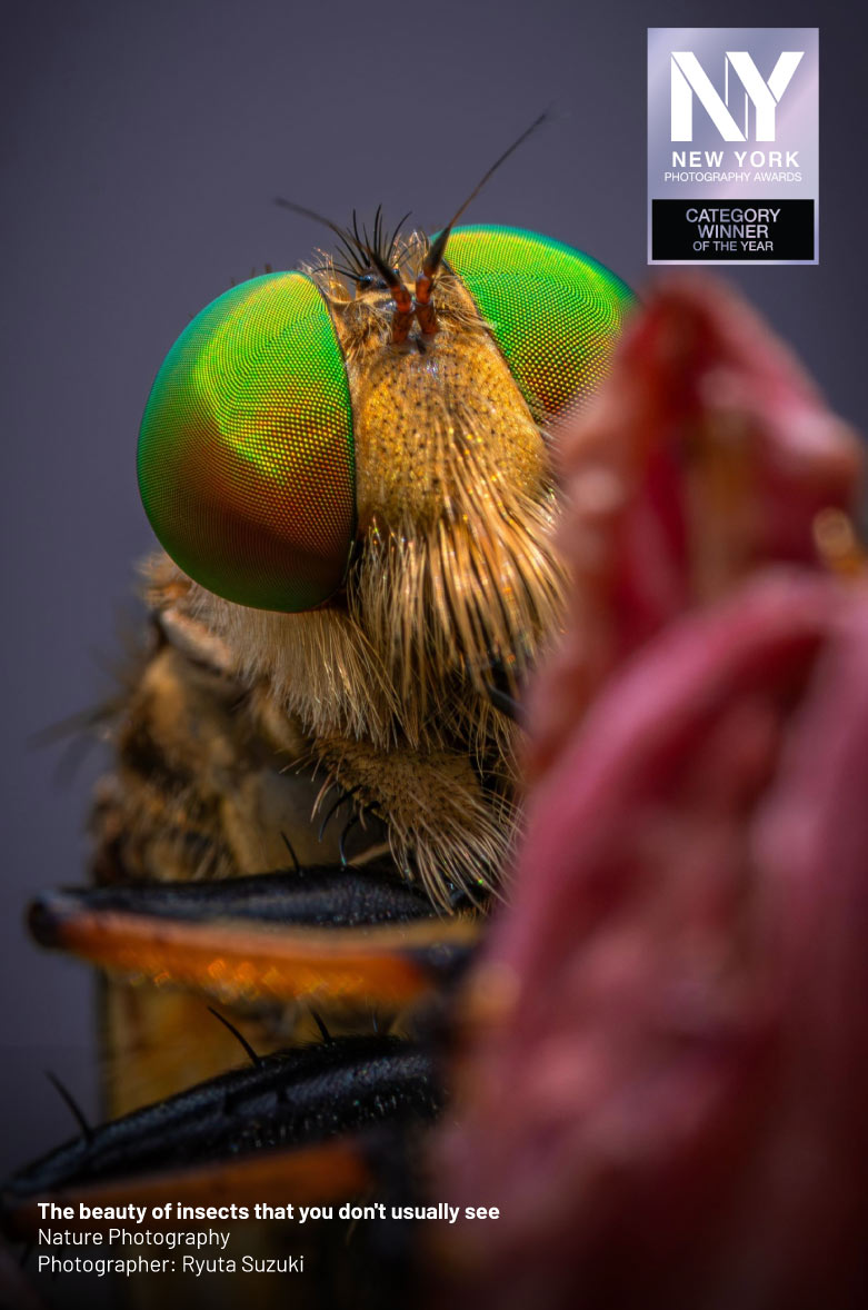 Nature Photography