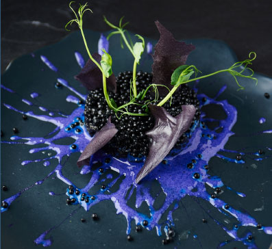 New York Commercial Photography Awards