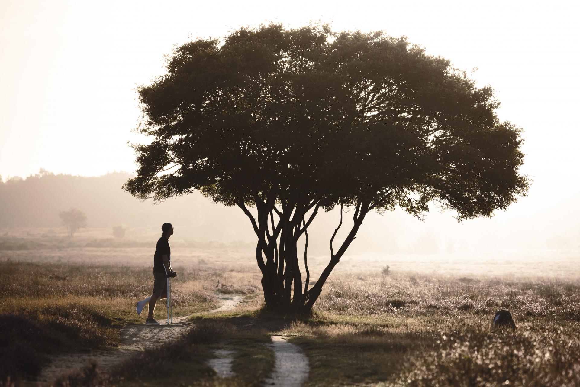 New York Photography Awards Winner - Delay in Growth