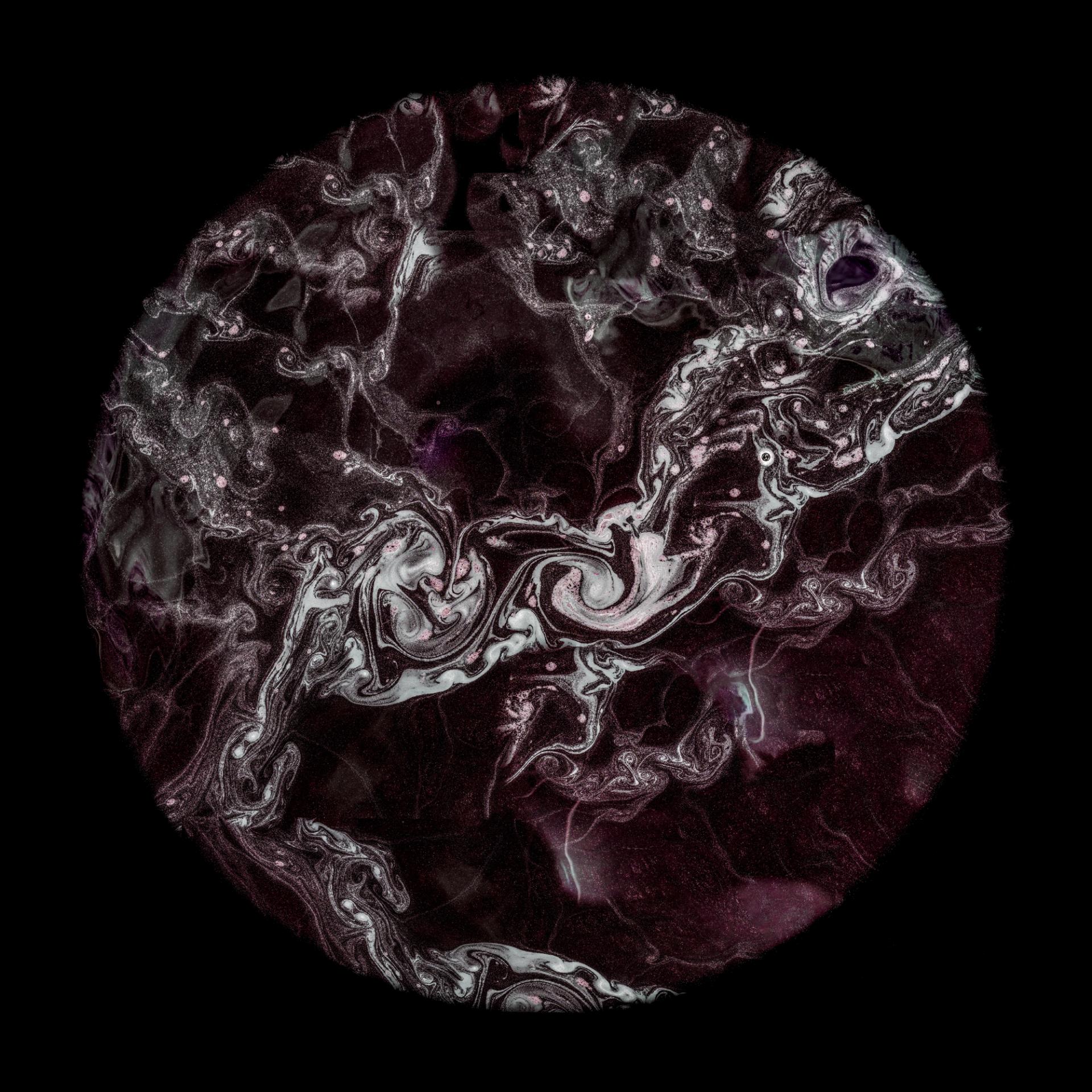New York Photography Awards Winner - From Grape to Stars