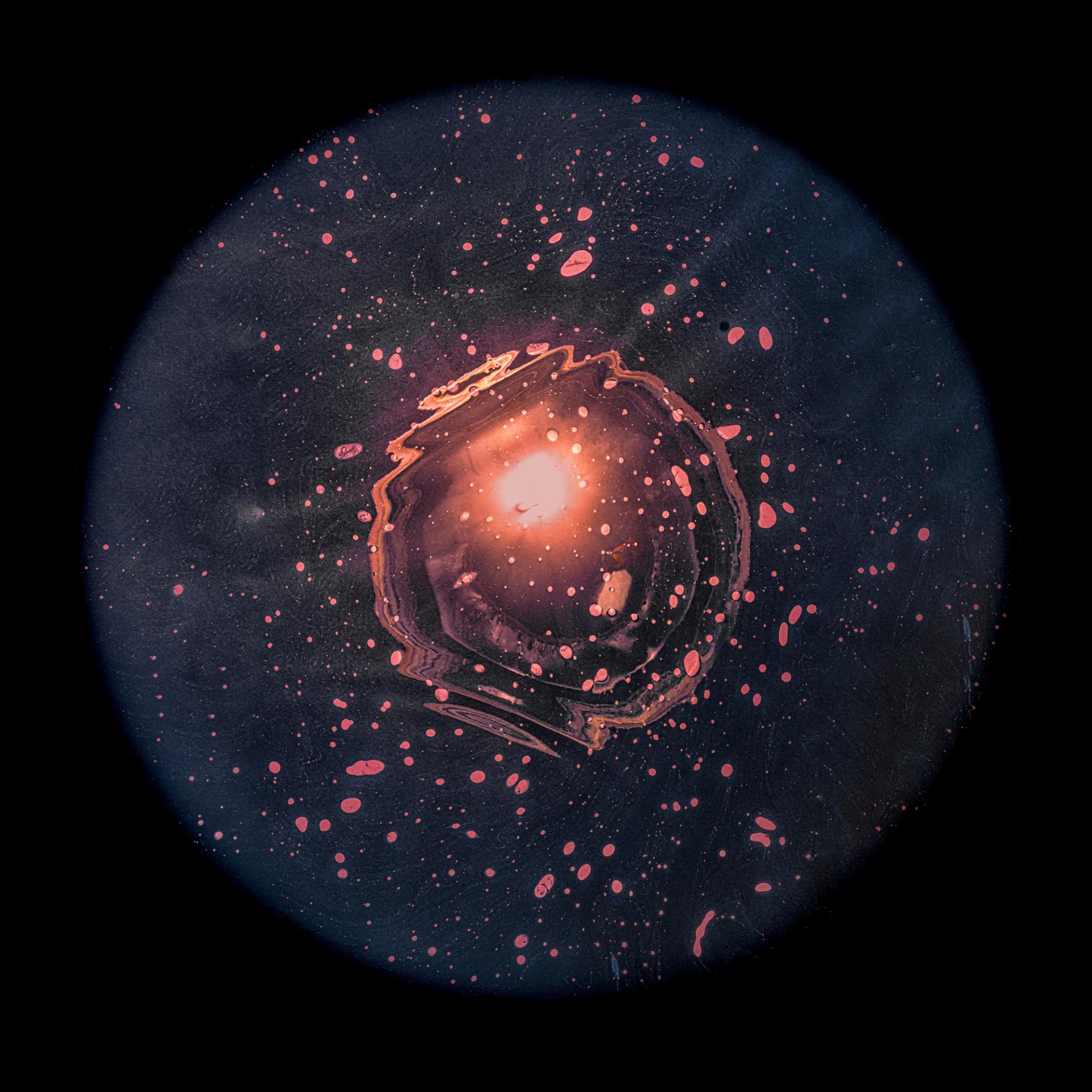 New York Photography Awards Winner - From Grape to Stars