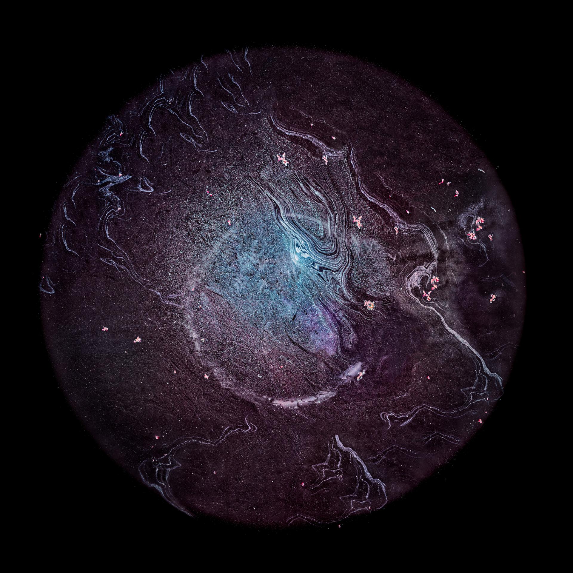 New York Photography Awards Winner - From Grape to Stars