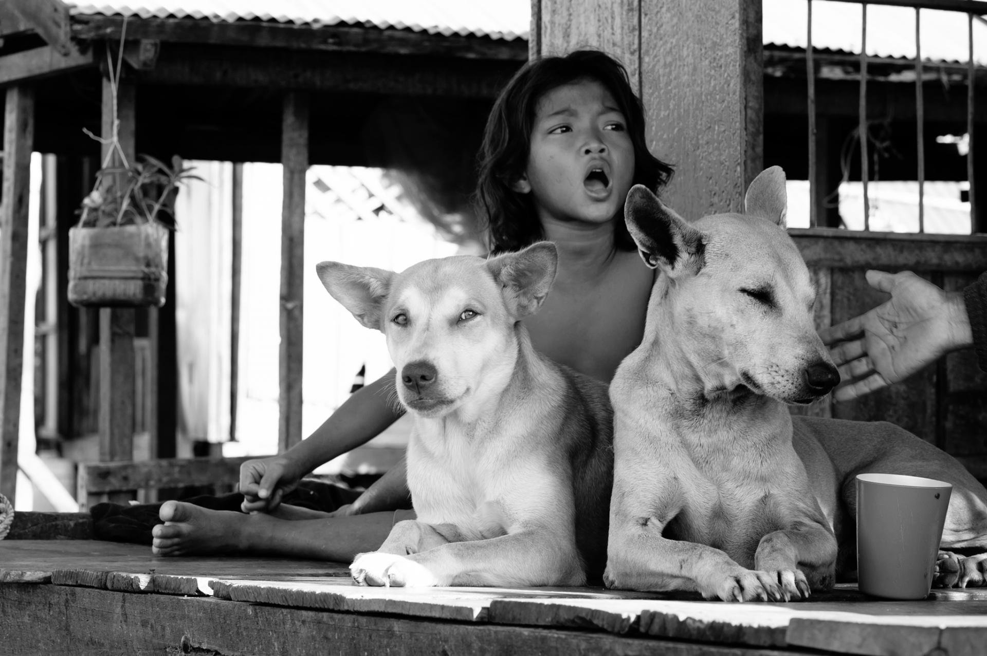 New York Photography Awards Winner - Living on Water