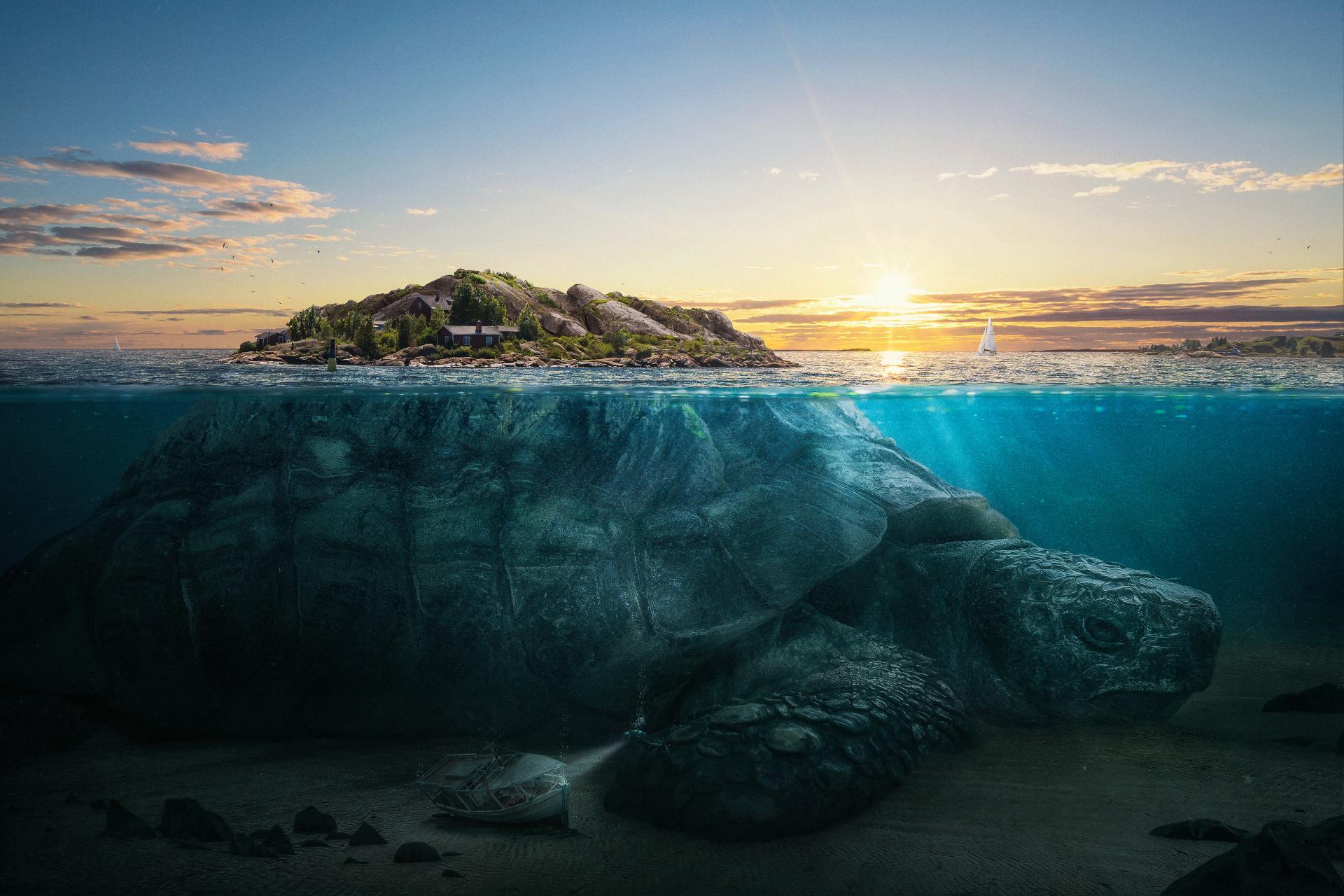 New York Photography Awards Winner - Beneath The Surface