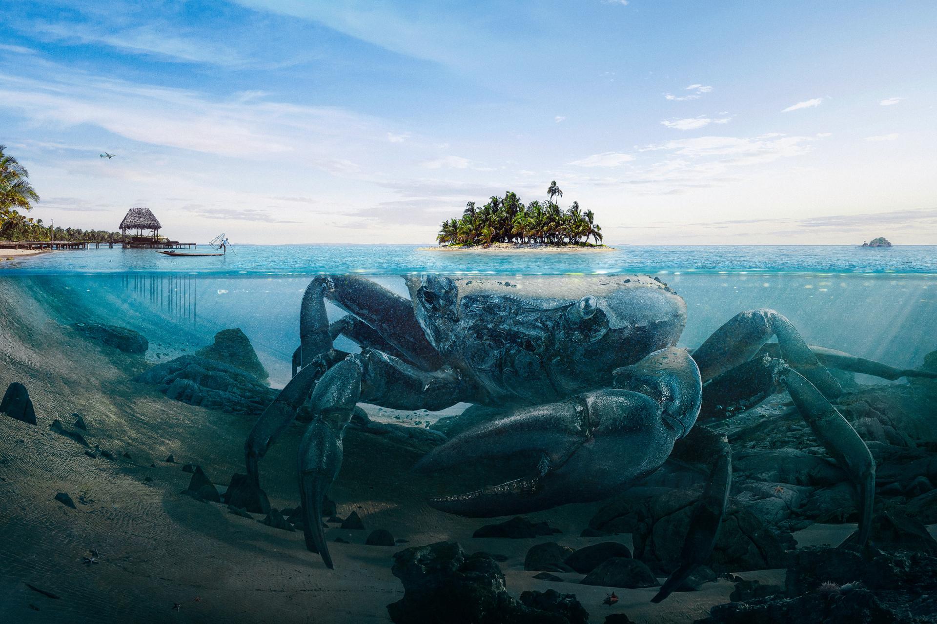 New York Photography Awards Winner - Beneath The Surface