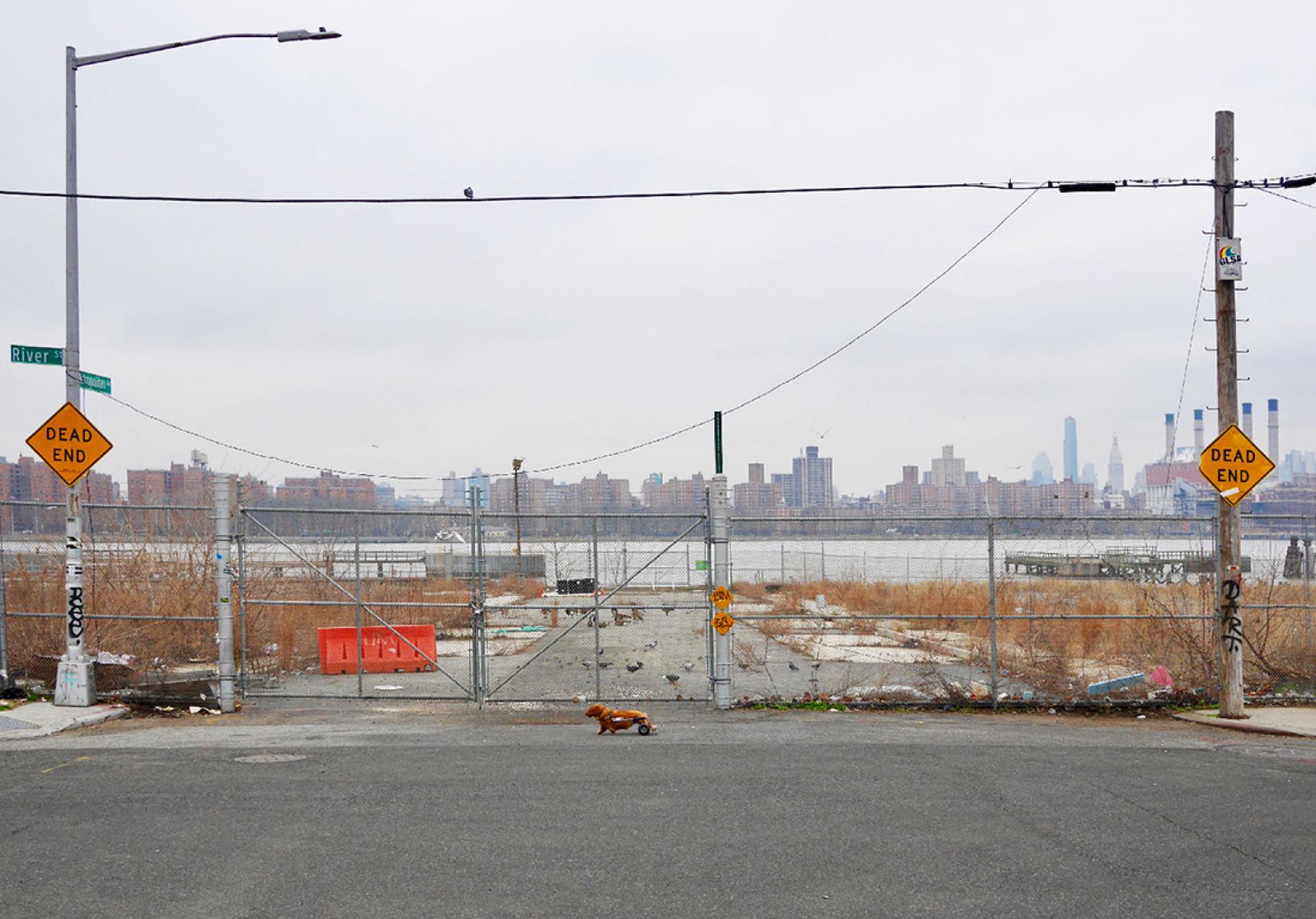 New York Photography Awards Winner - SOMETHING COMES FROM RIVER STREET