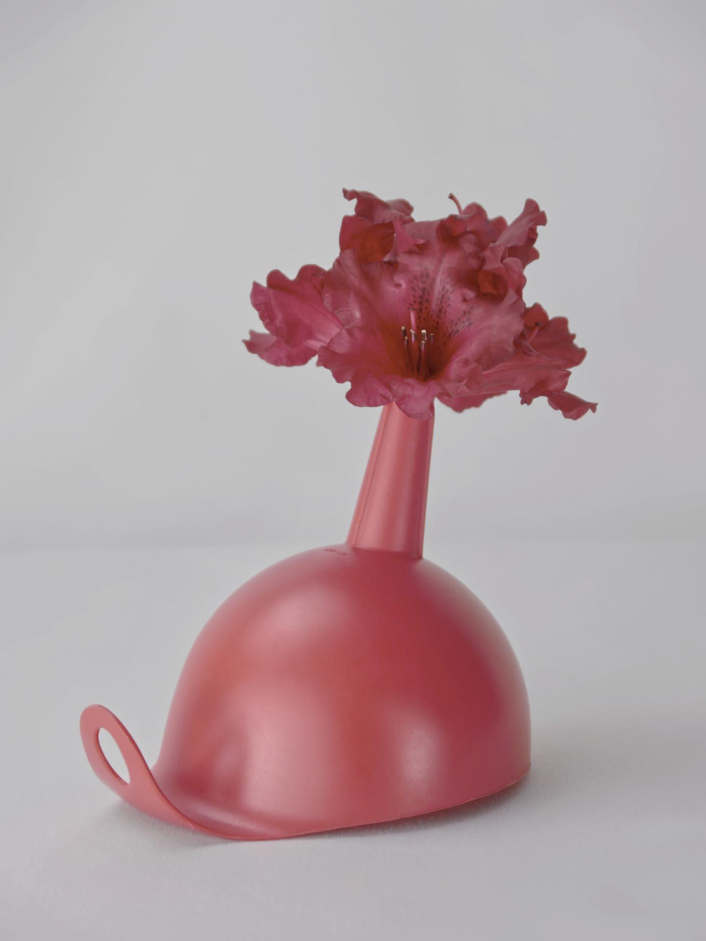 New York Photography Awards Winner - Corona Botanics