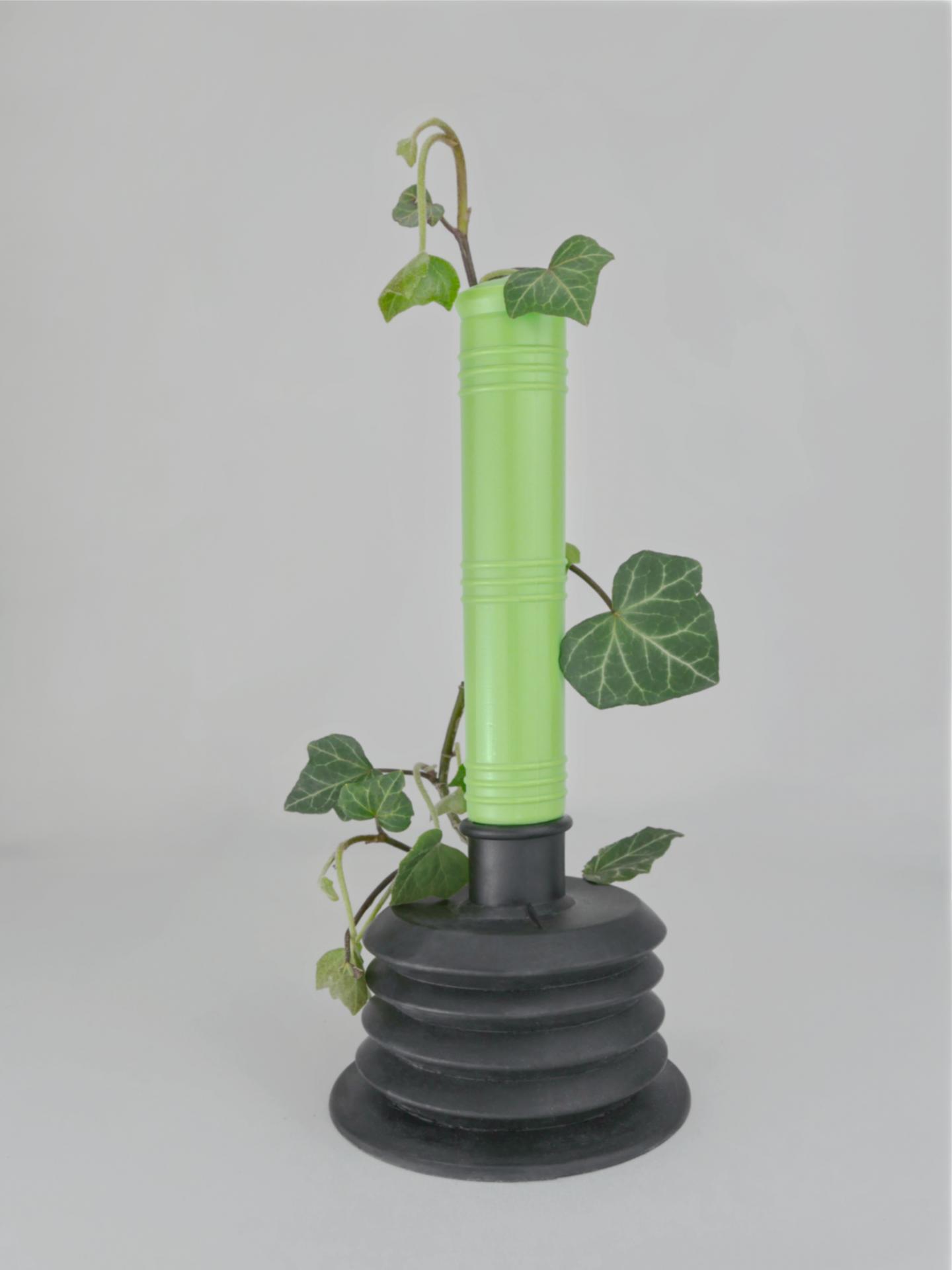 New York Photography Awards Winner - Corona Botanics