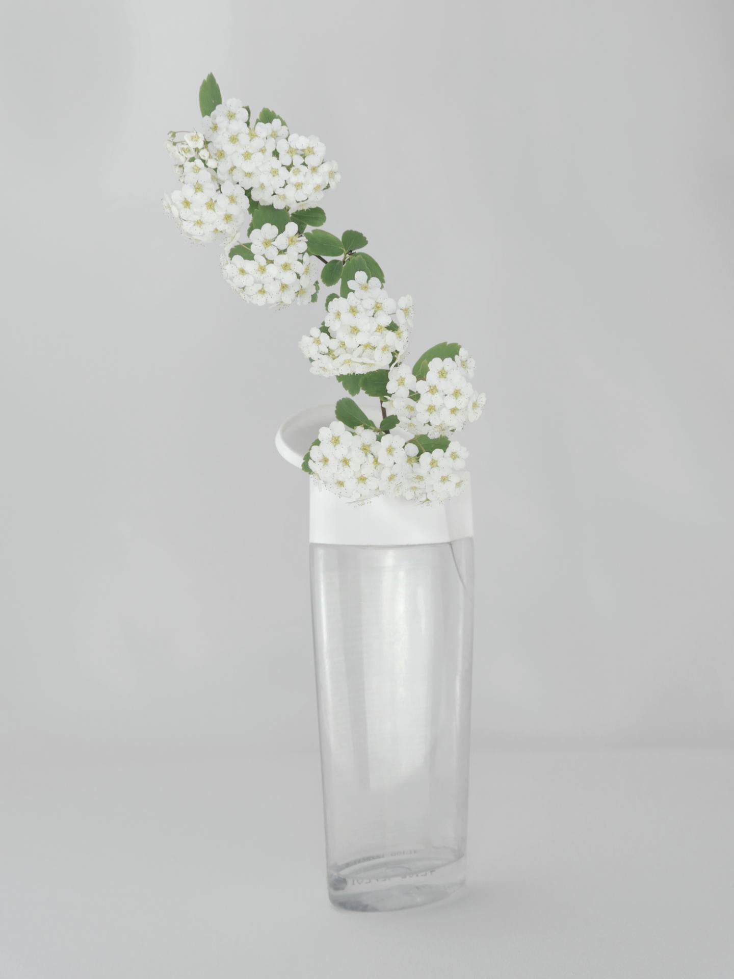 New York Photography Awards Winner - Corona Botanics