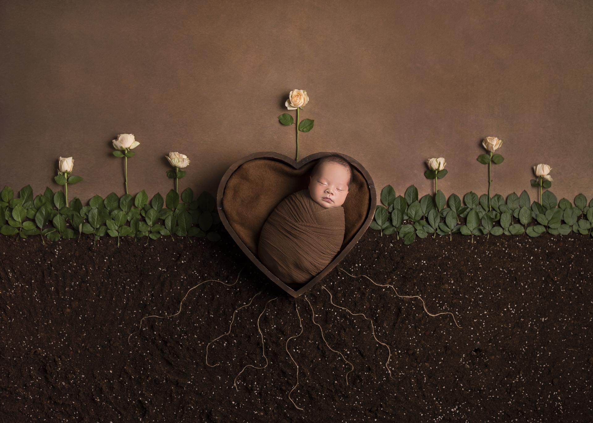 New York Photography Awards Winner - Seed Germination.