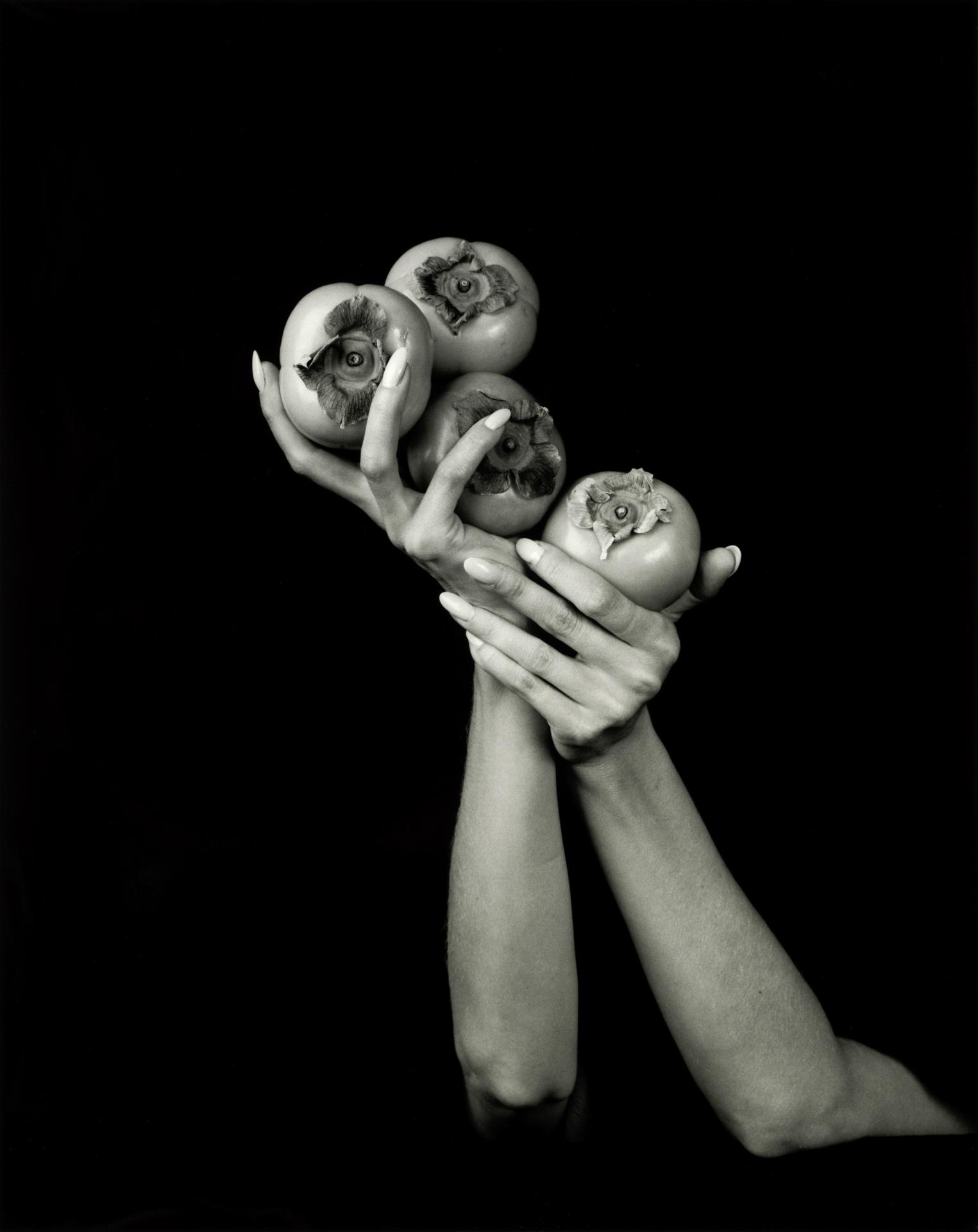 New York Photography Awards Winner - Feast