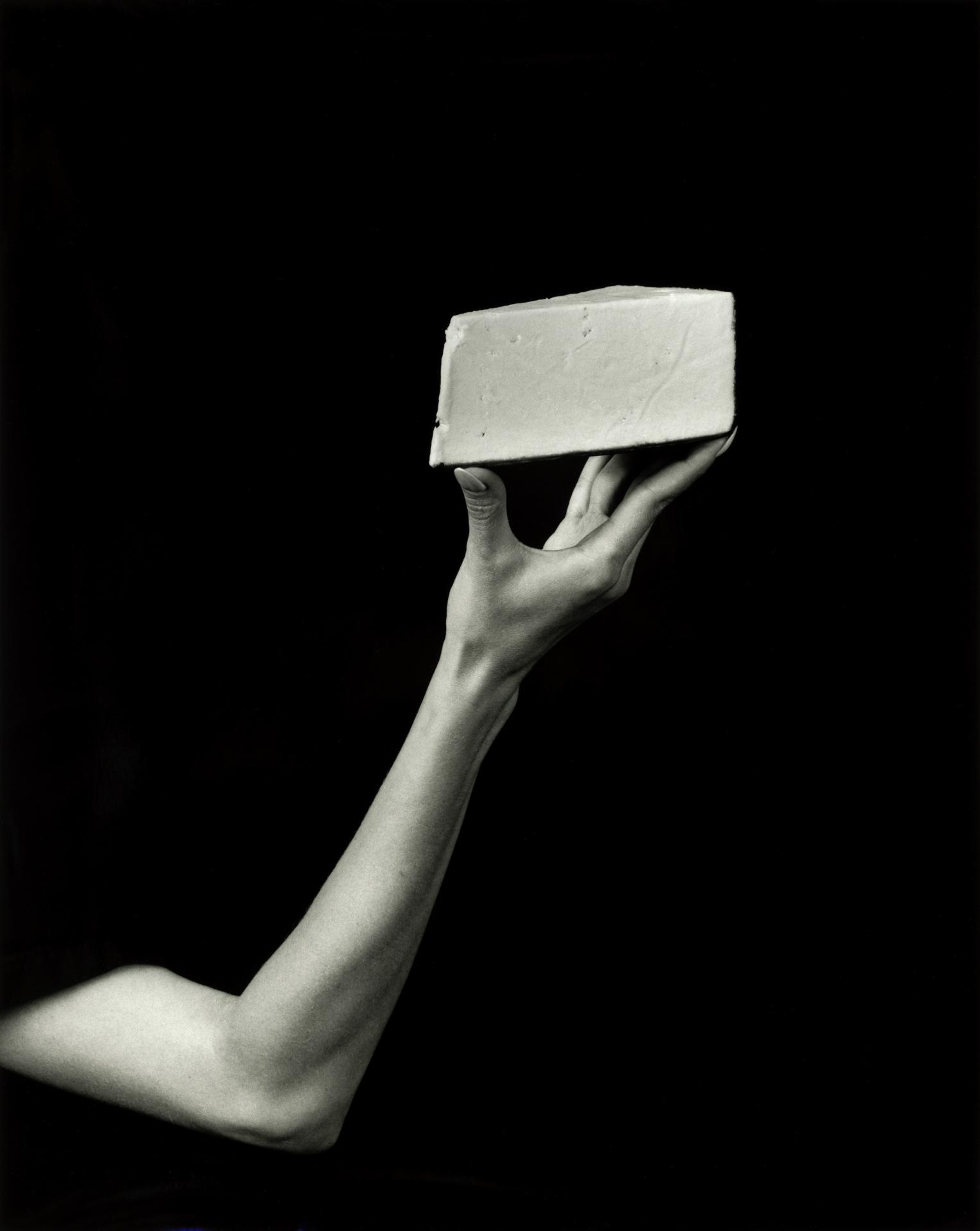 New York Photography Awards Winner - Feast