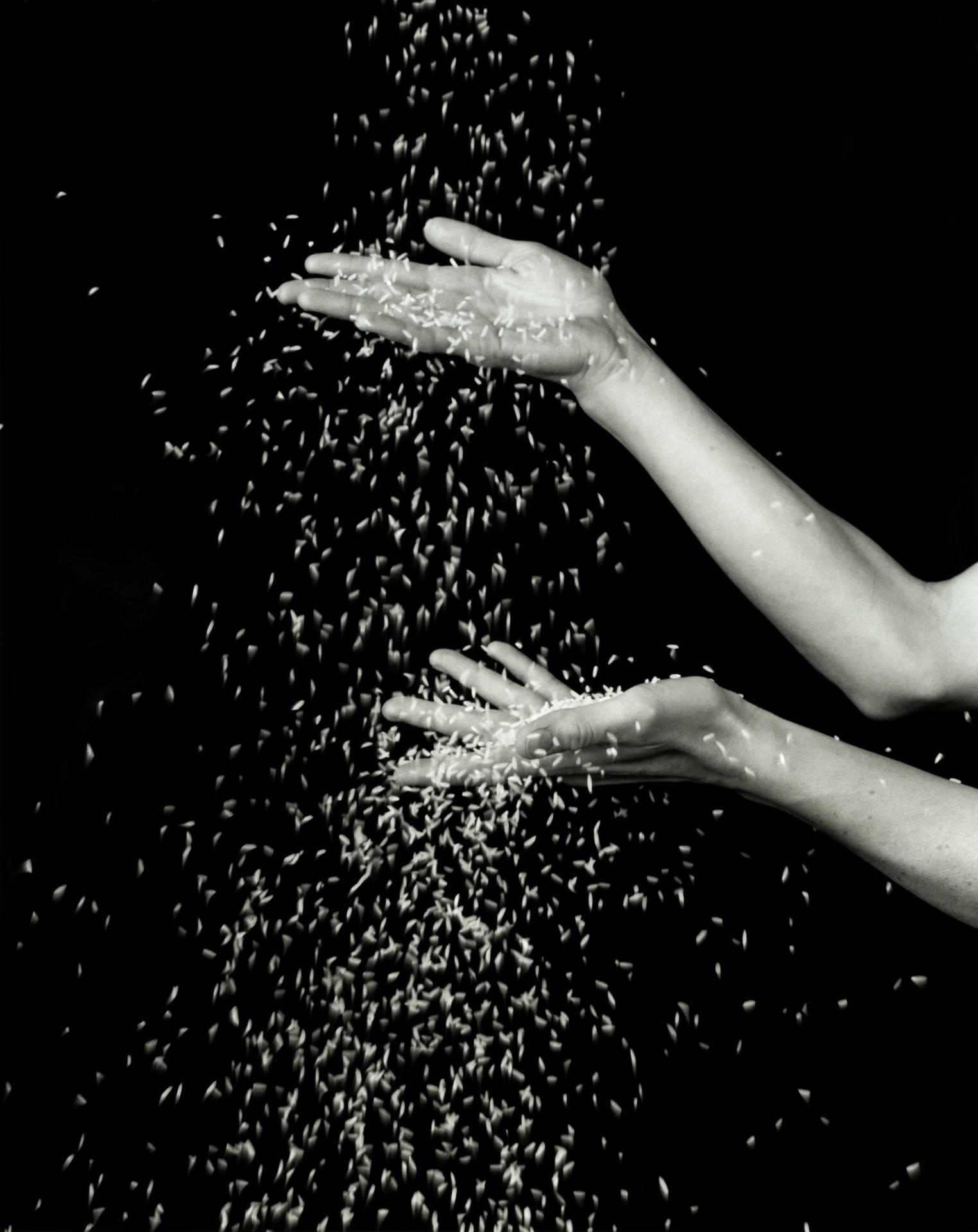 New York Photography Awards Winner - Feast