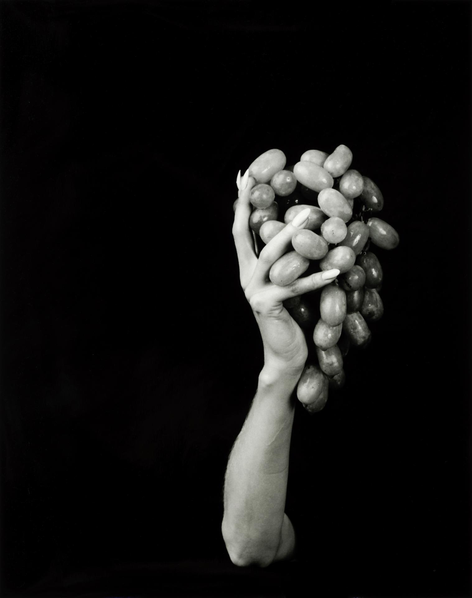 New York Photography Awards Winner - Feast