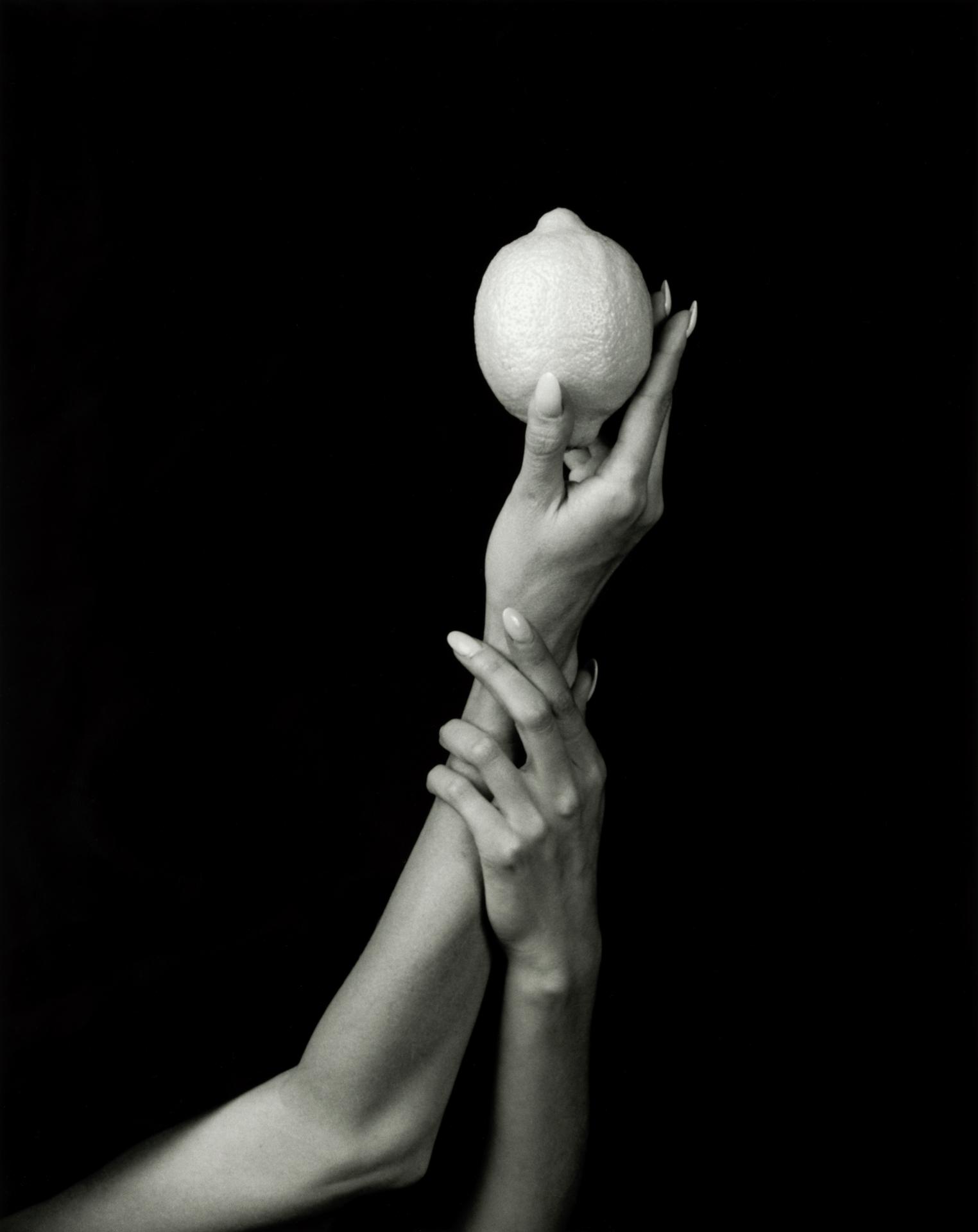 New York Photography Awards Winner - Feast