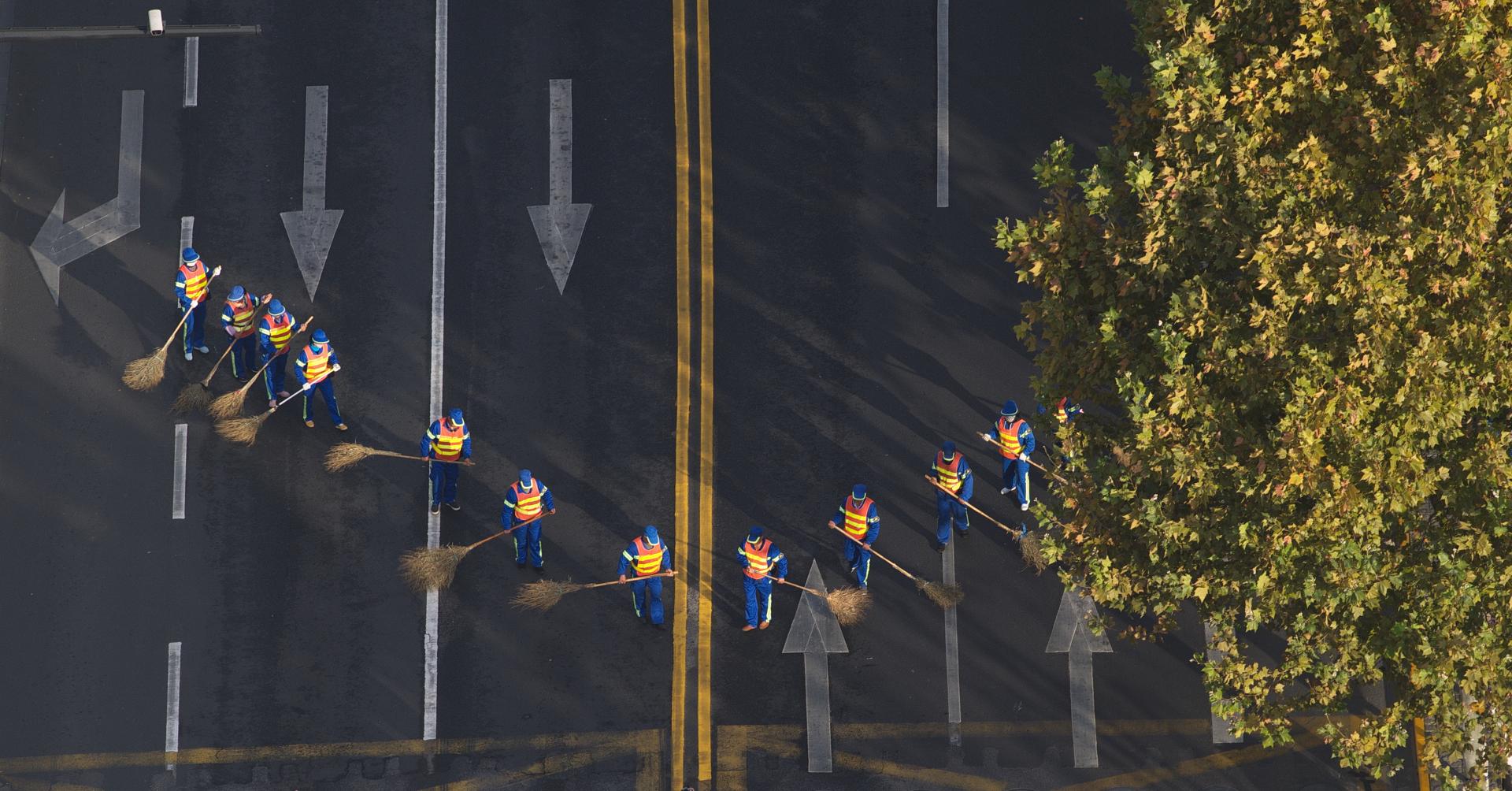 New York Photography Awards Winner - Wild goose formation
