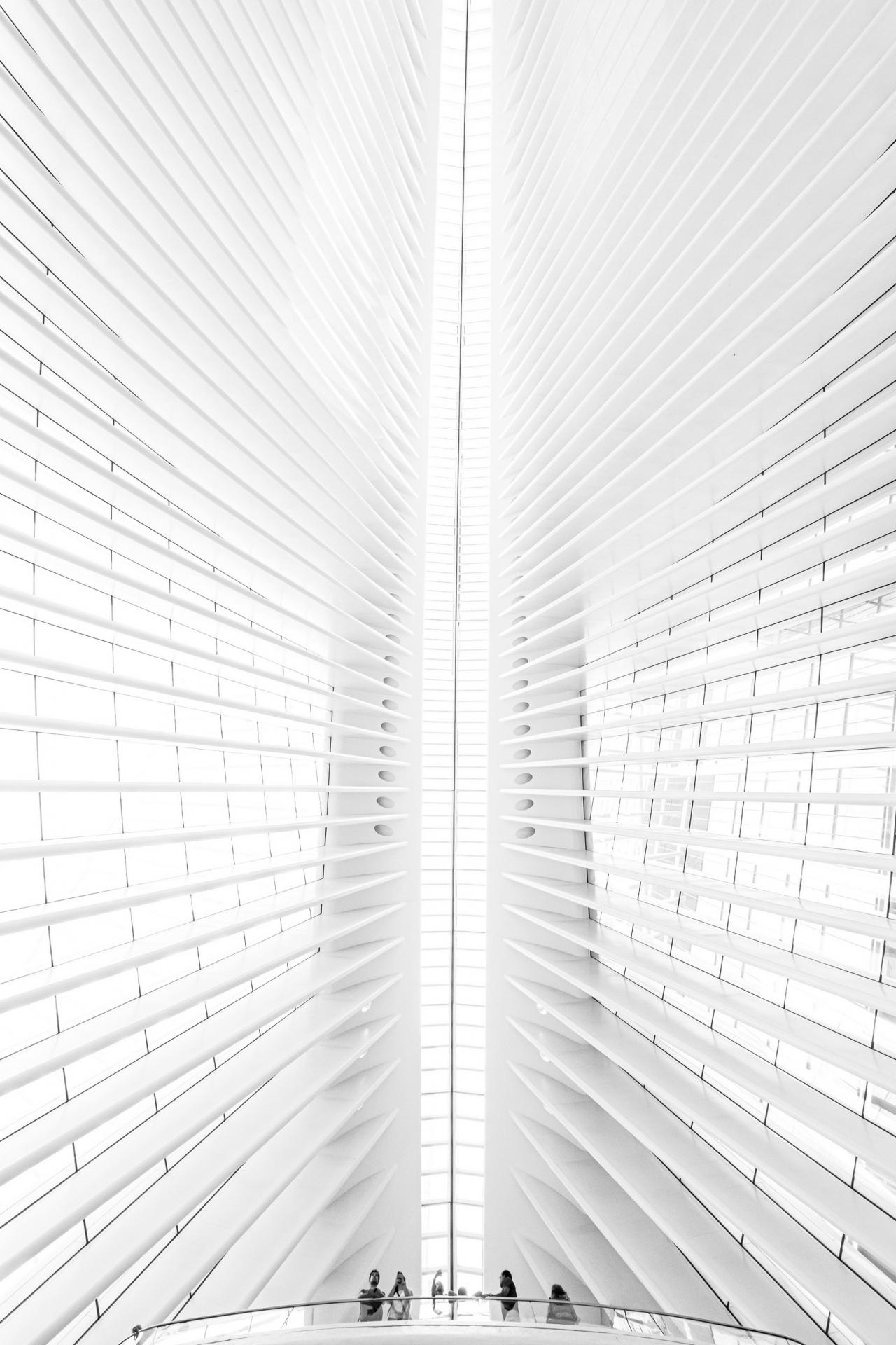New York Photography Awards Winner - Fly with Calatrava