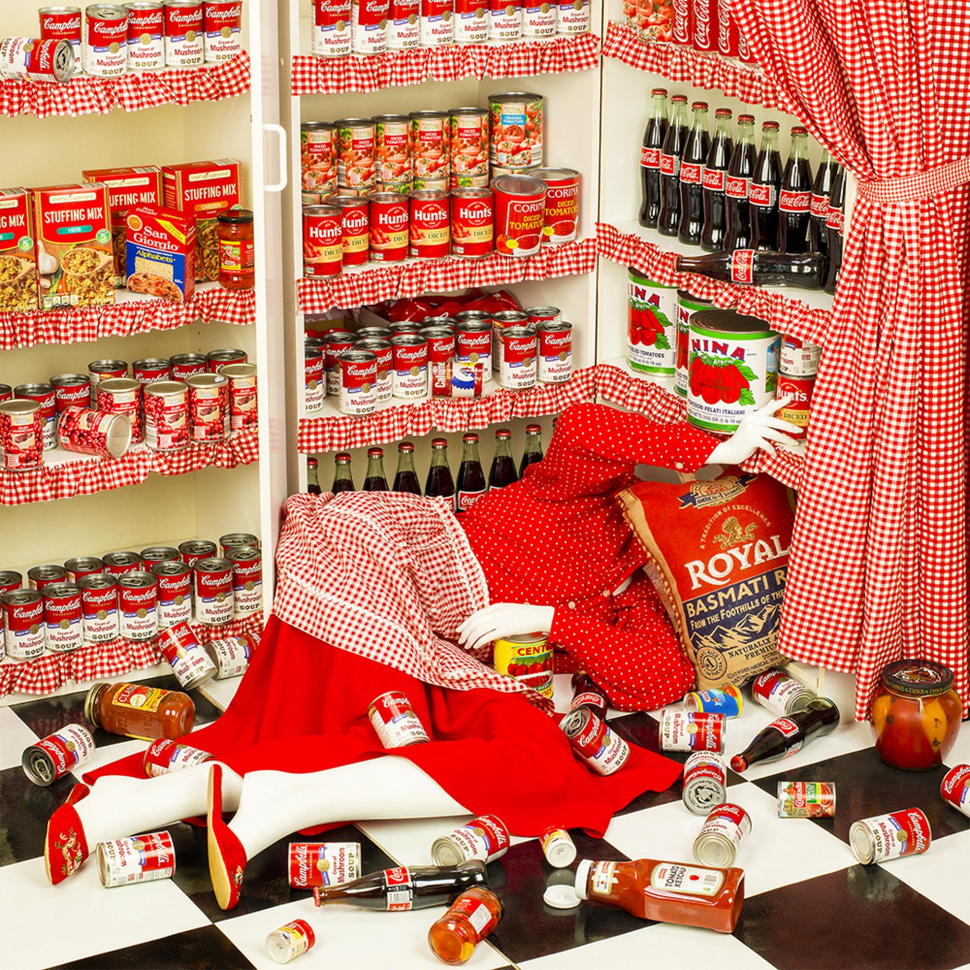New York Photography Awards Winner - Anonymous Women: Domestic Demise