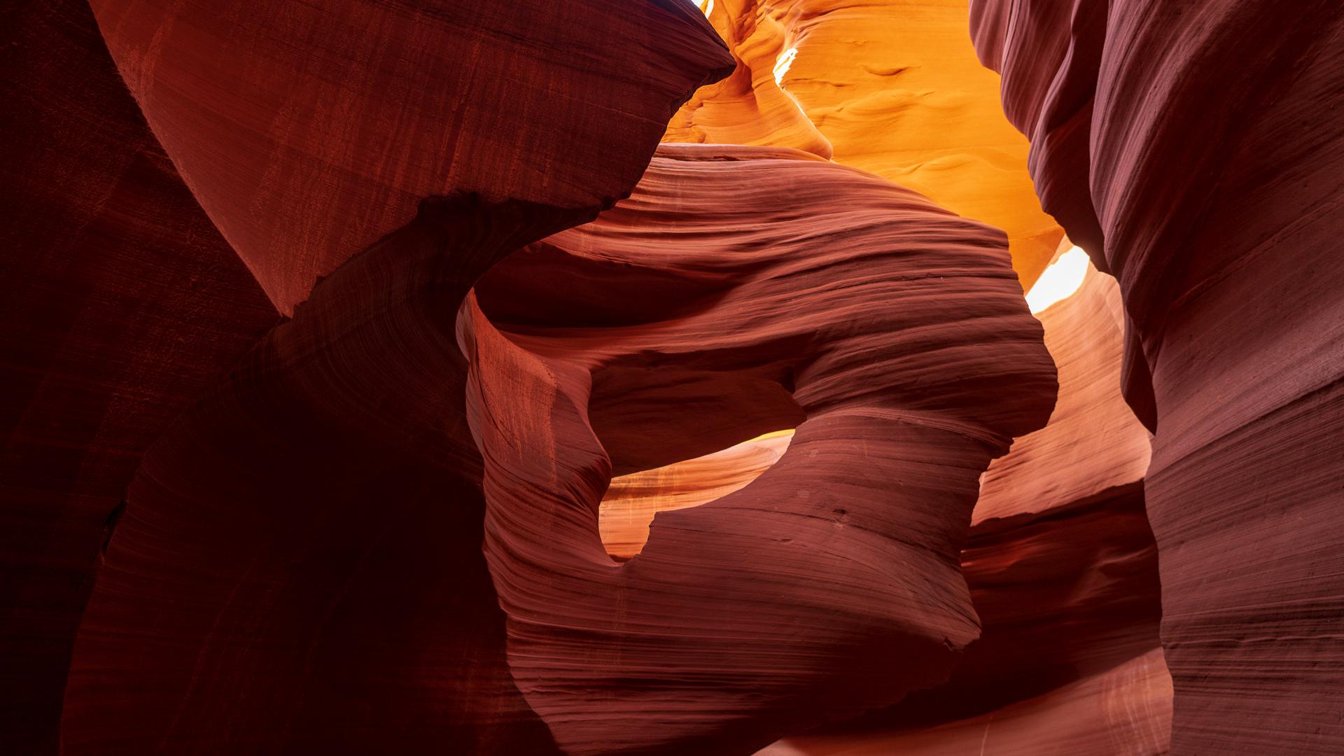 New York Photography Awards Winner - Majestic