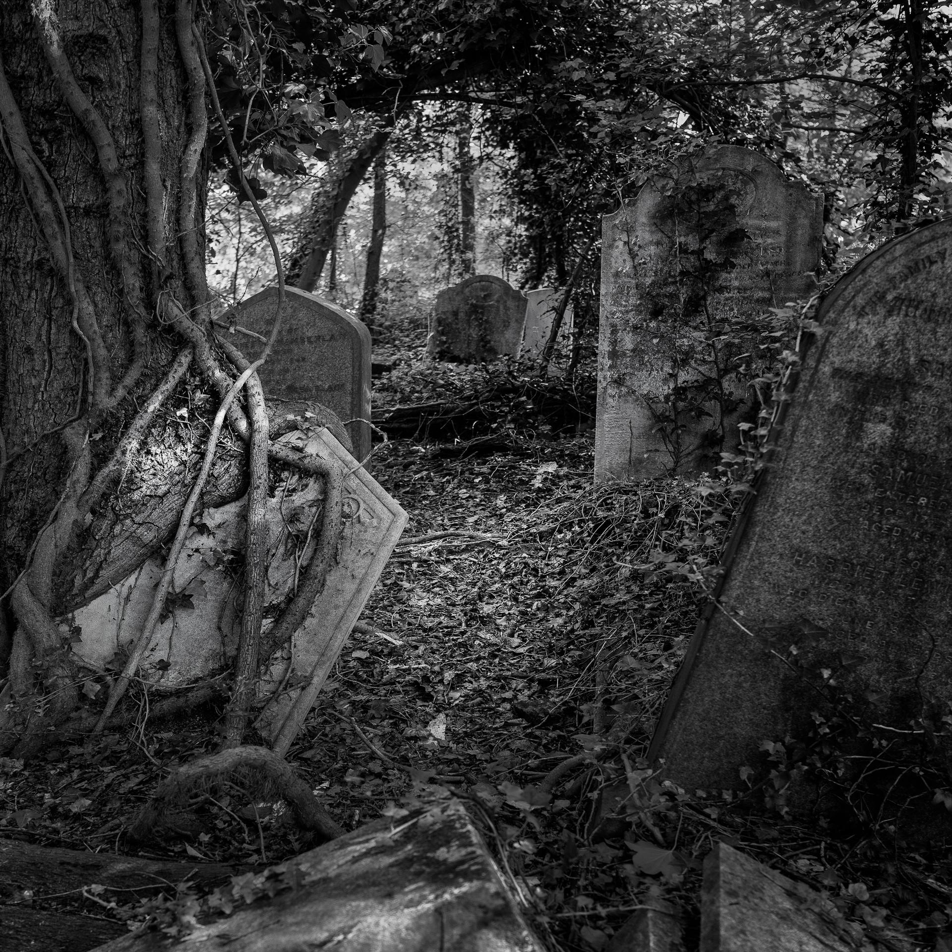 New York Photography Awards Winner - Passage of Time