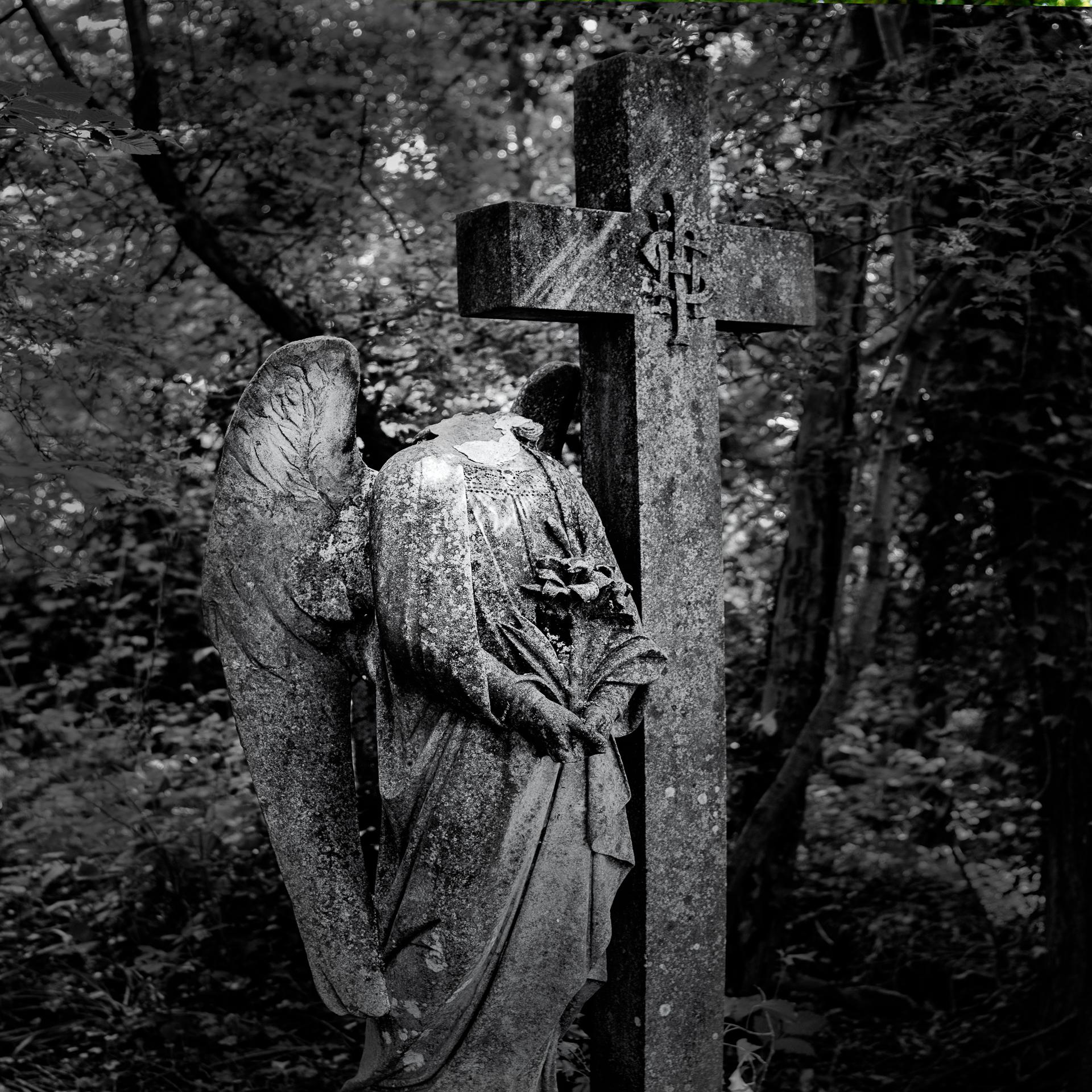New York Photography Awards Winner - Passage of Time