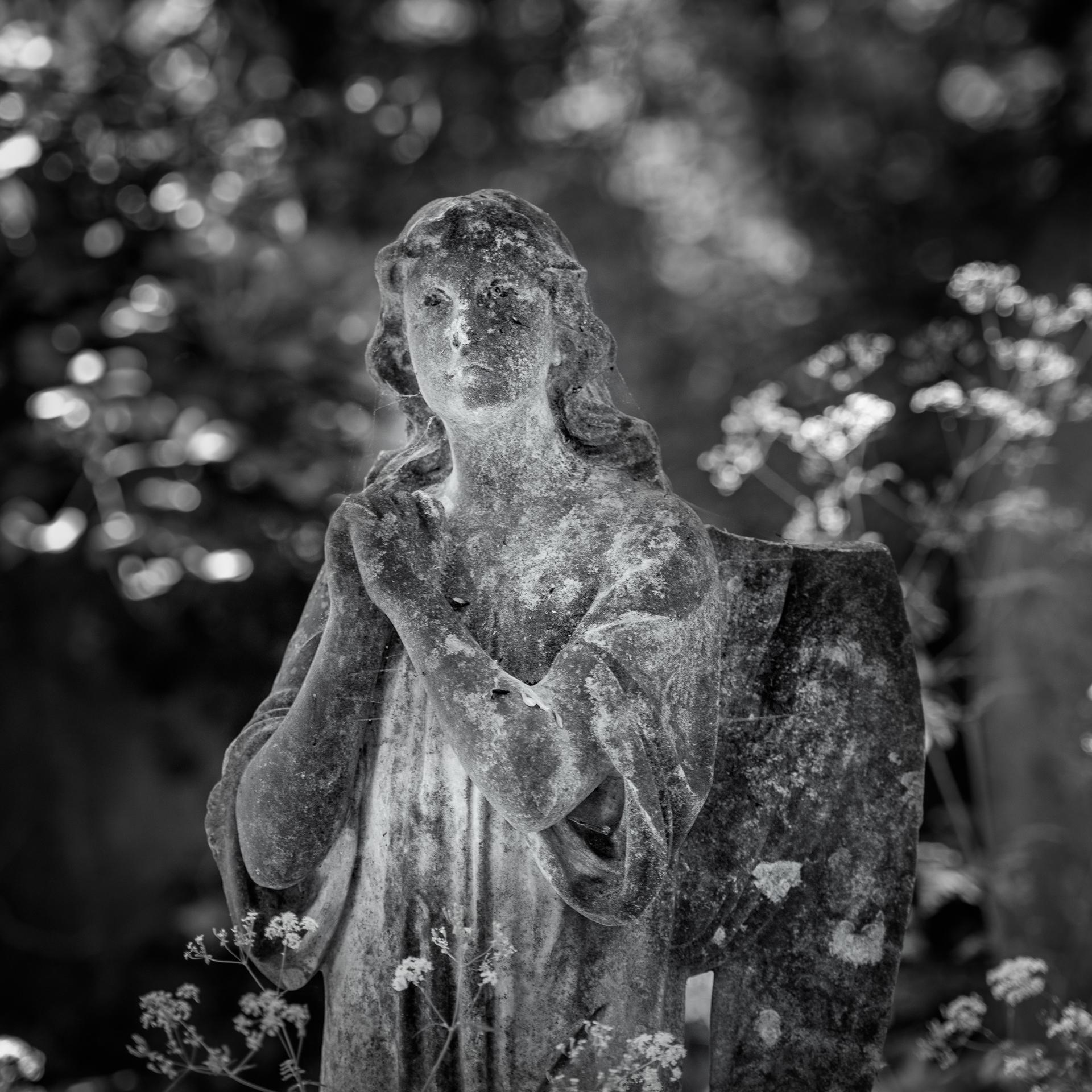 New York Photography Awards Winner - Passage of Time