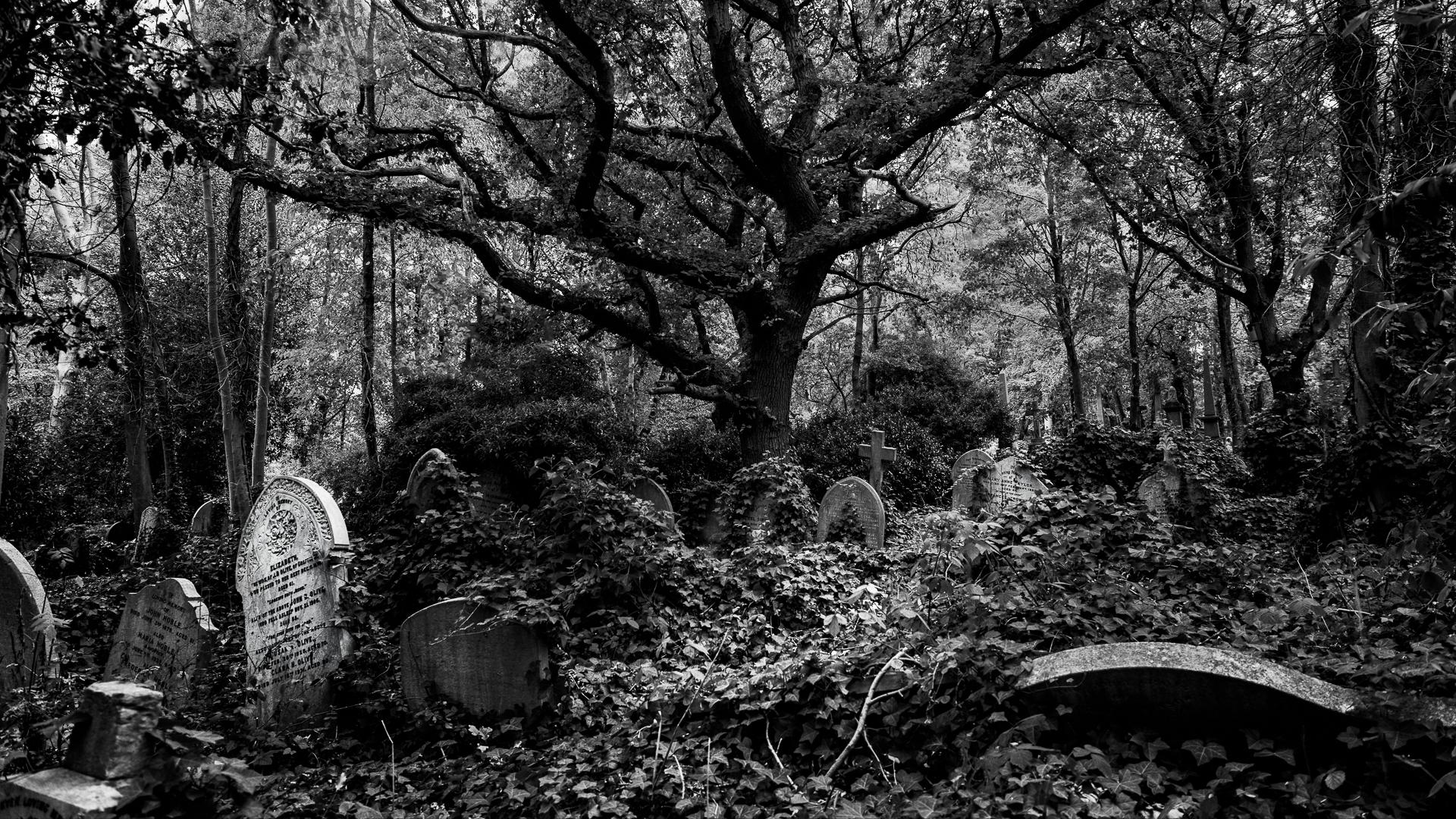 New York Photography Awards Winner - Passage of Time