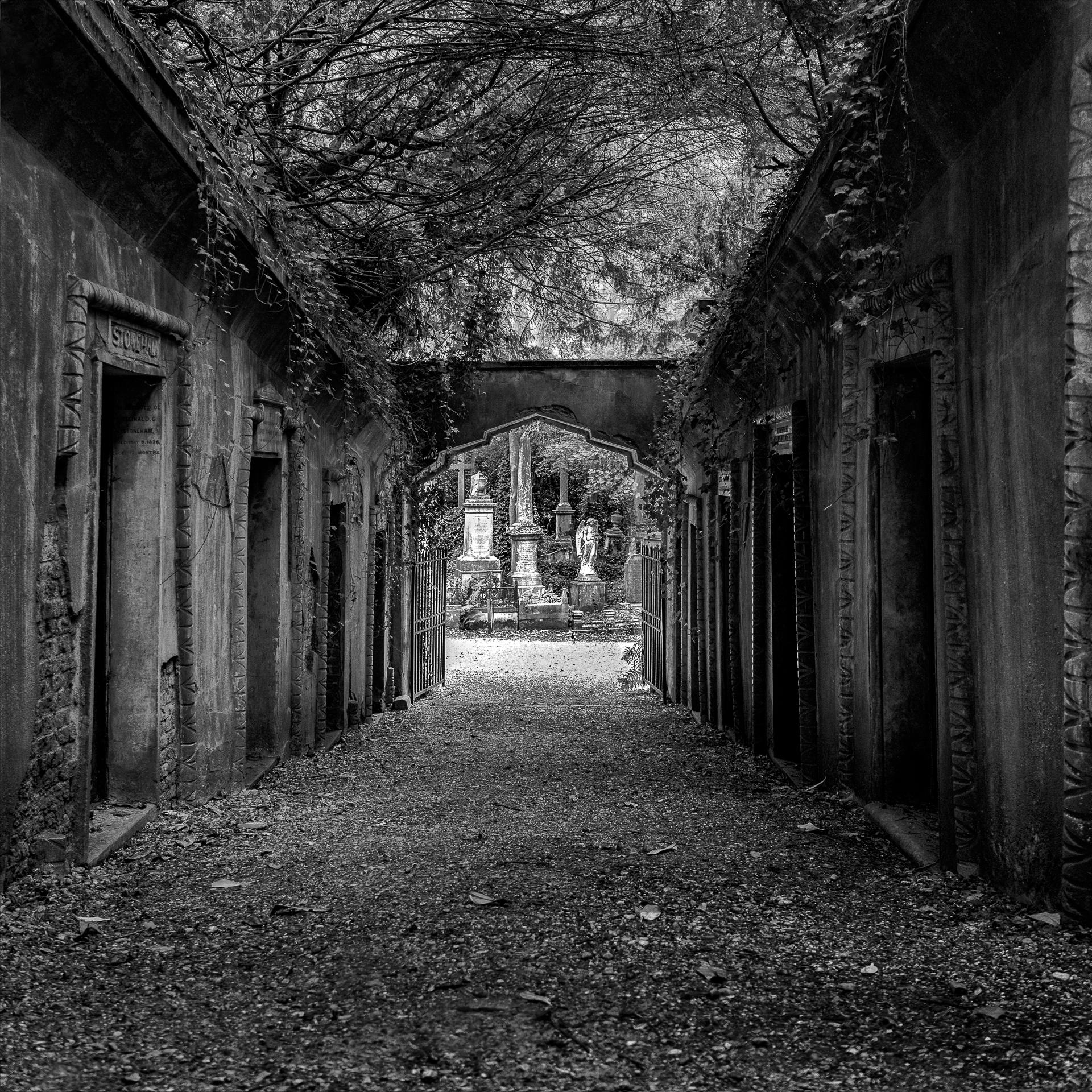 New York Photography Awards Winner - Passage of Time