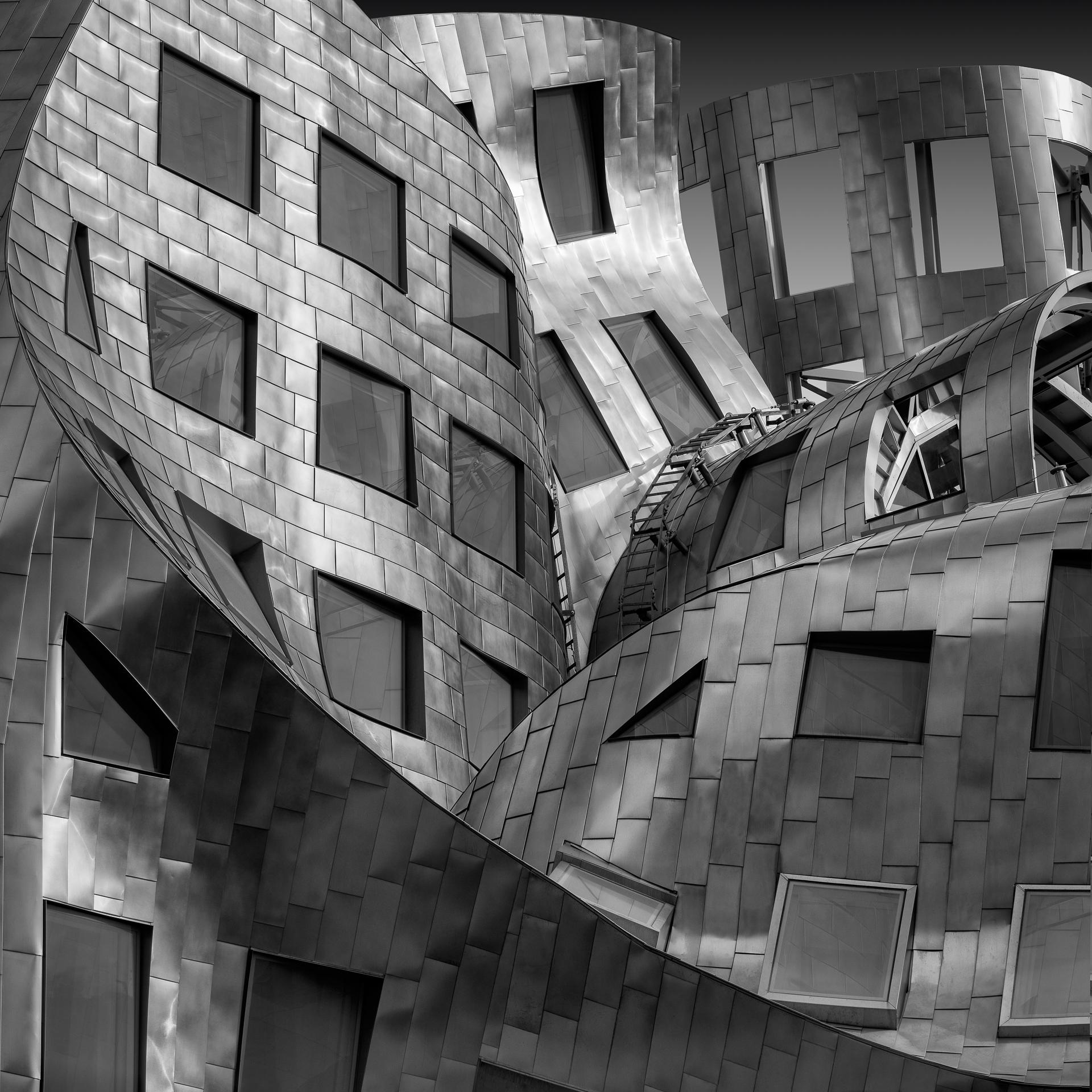 New York Photography Awards Winner - CRADLED
