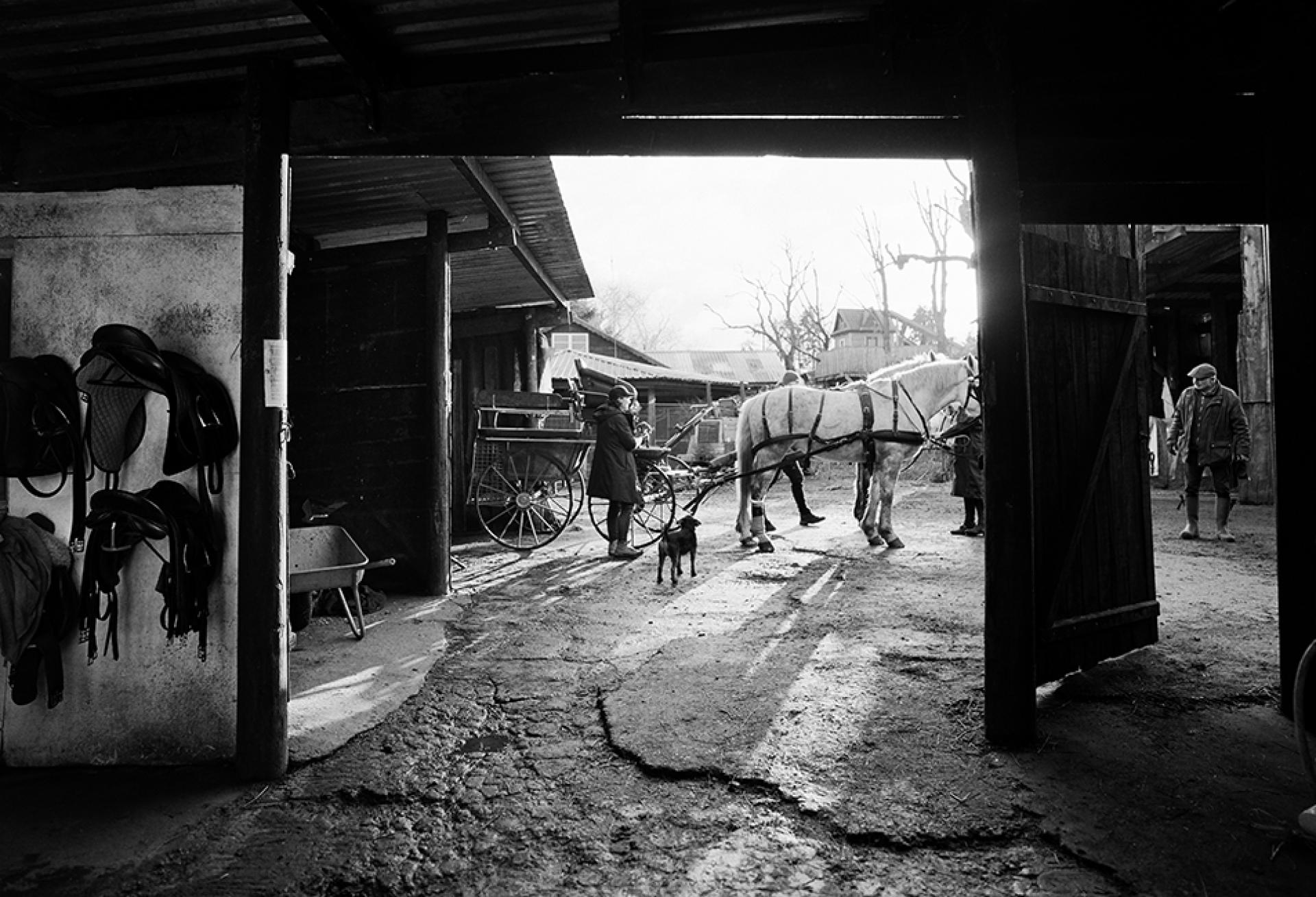 New York Photography Awards Winner - The Devils 