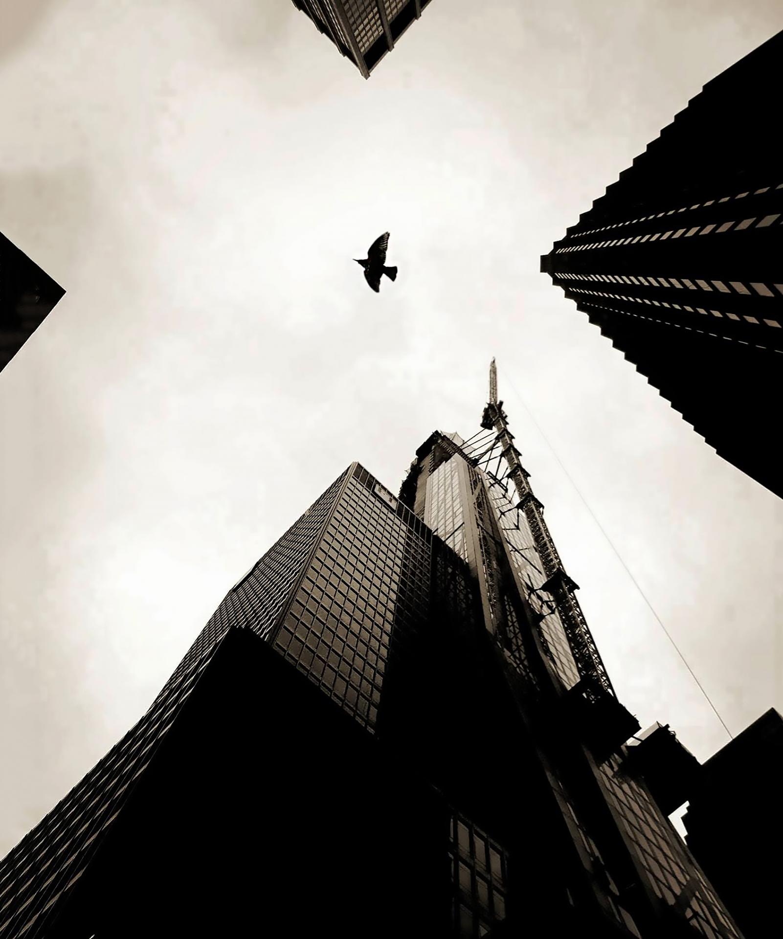 New York Photography Awards Winner - Whatever...
