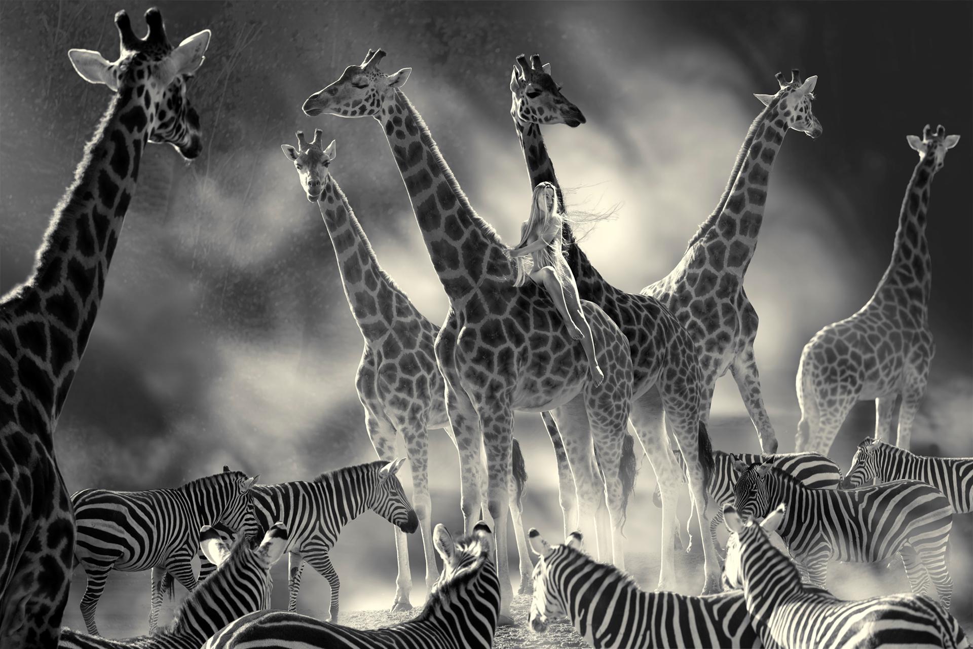 New York Photography Awards Winner - Where Is Adam?