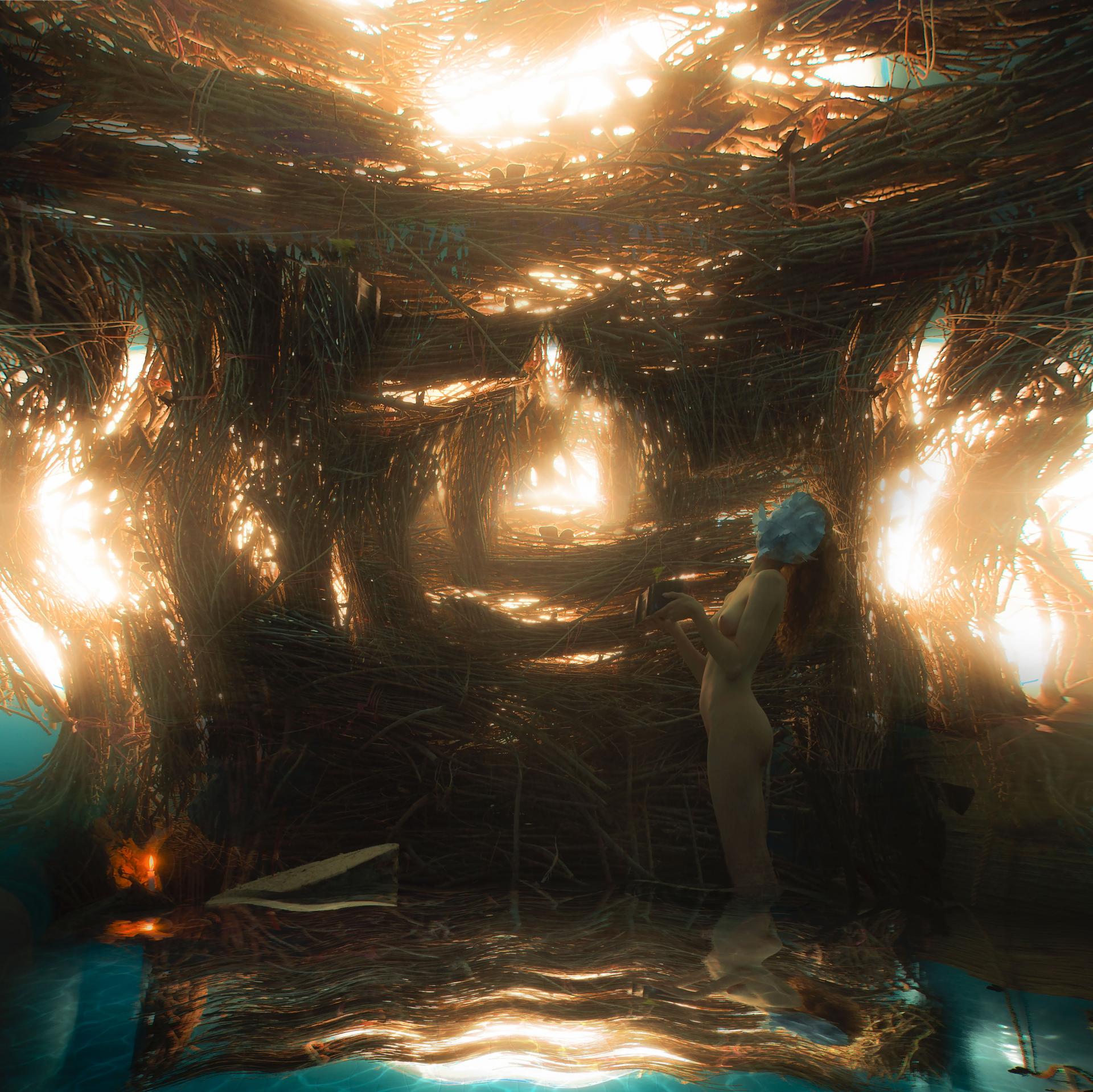New York Photography Awards Winner - CELLAR BUTTERFLIES COLLECTION (( RECREATION CONCEPT ))