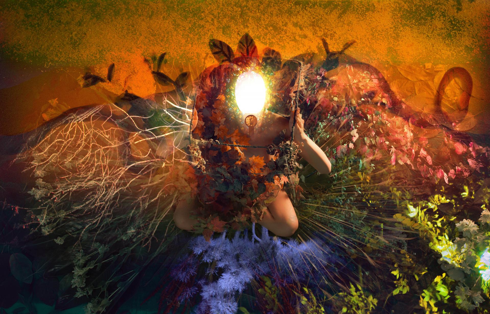 New York Photography Awards Winner - CELLAR BUTTERFLIES COLLECTION (( RECREATION CONCEPT ))
