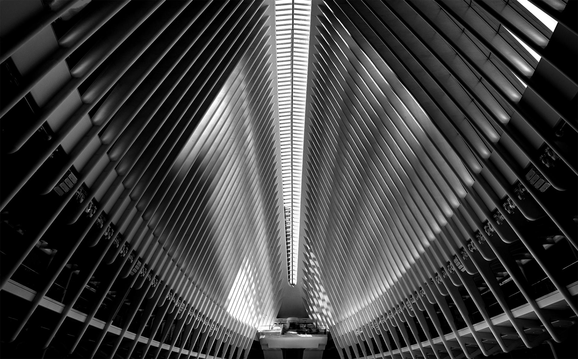 New York Photography Awards Winner - Oculus 2