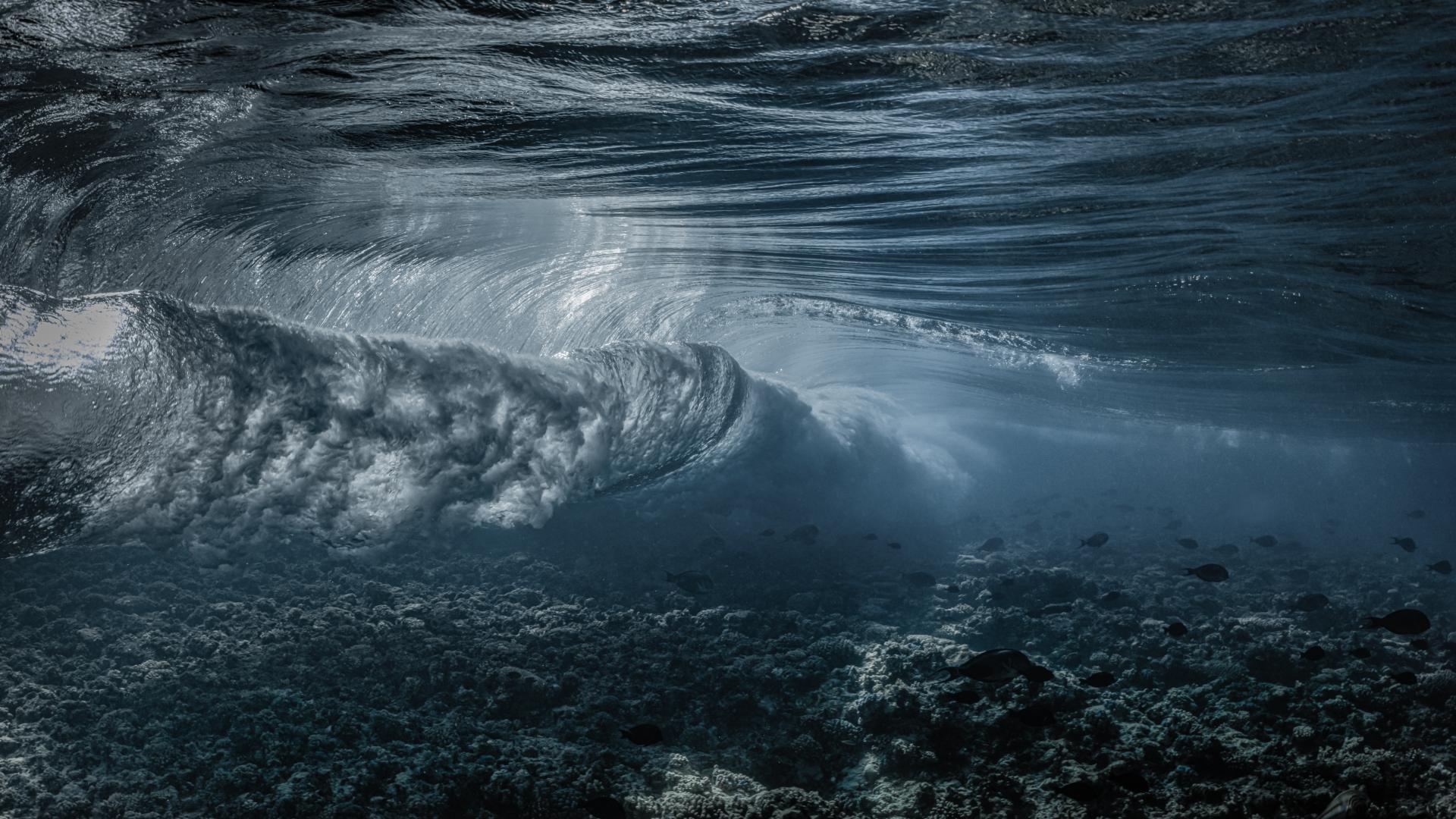 New York Photography Awards Winner - Inside the Wave