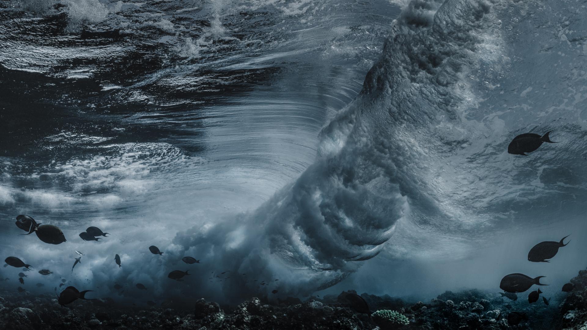 New York Photography Awards Winner - Inside the Wave