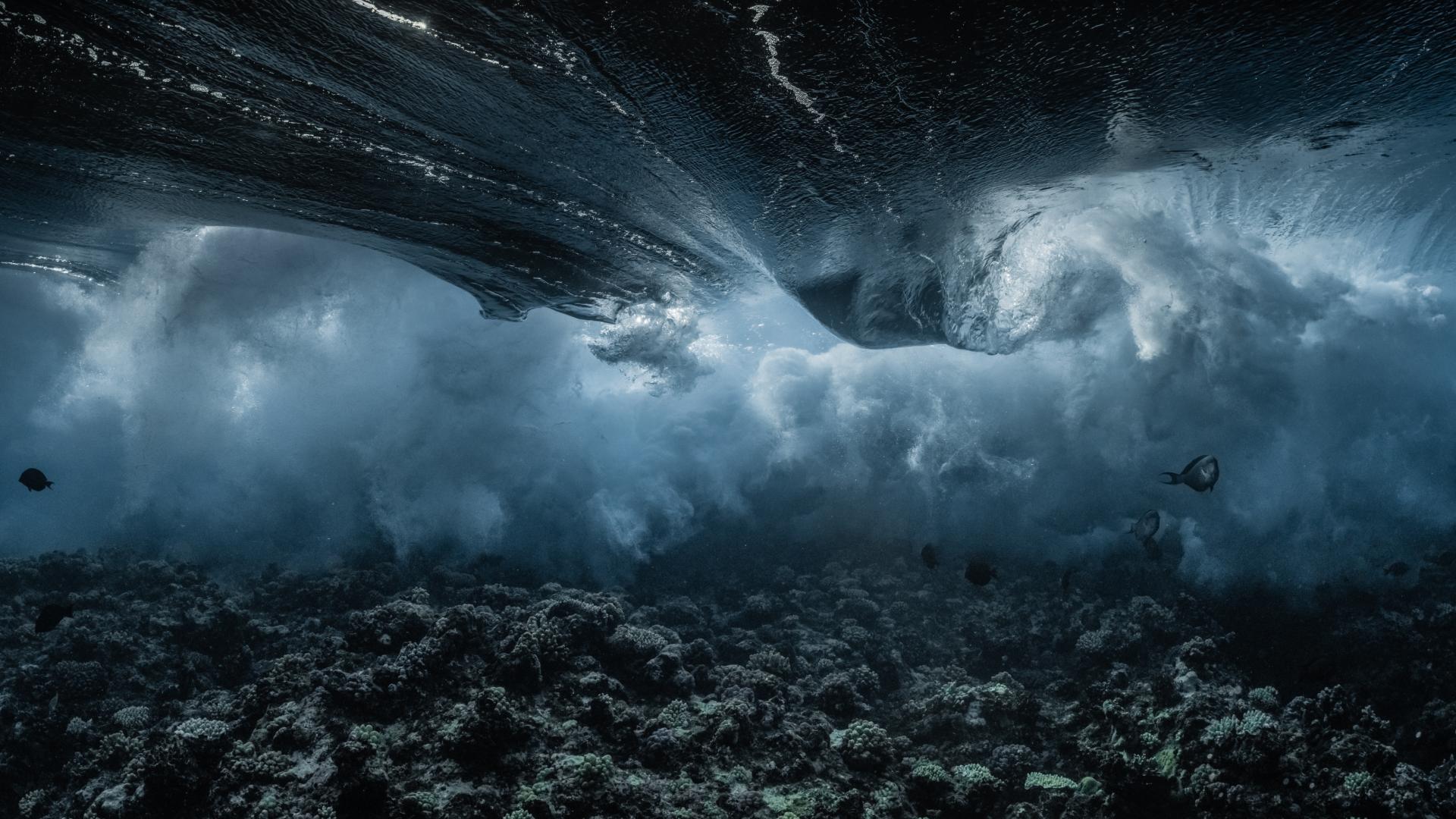 New York Photography Awards Winner - Inside the Wave