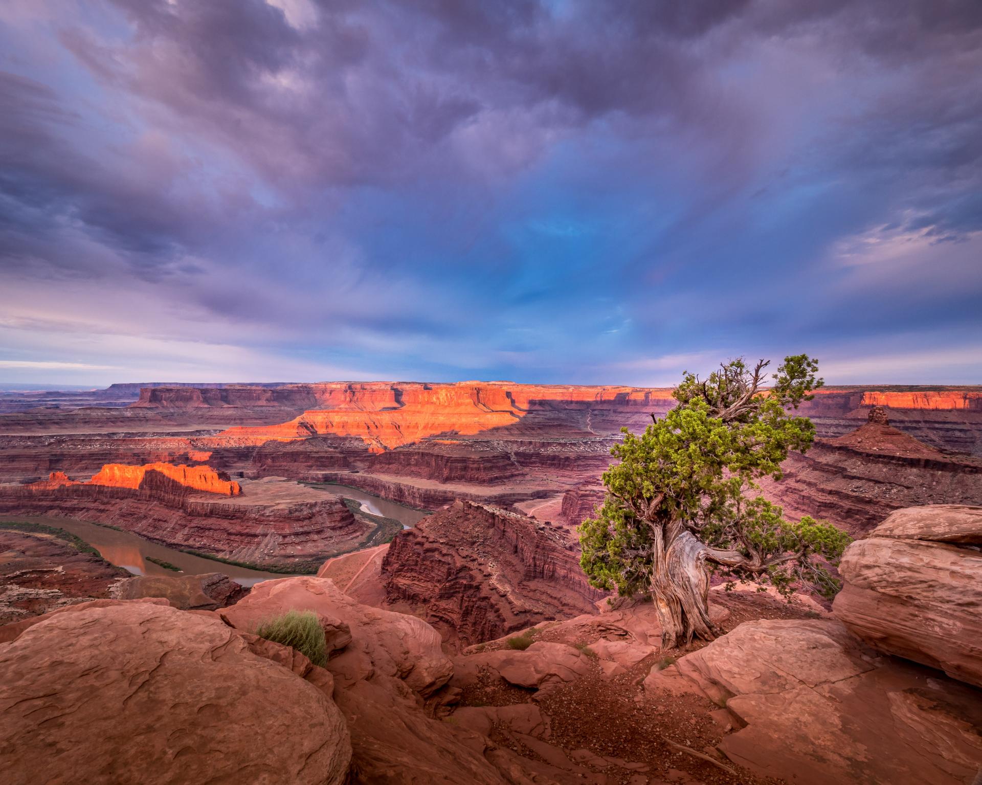 New York Photography Awards Winner - Dead Horse Point