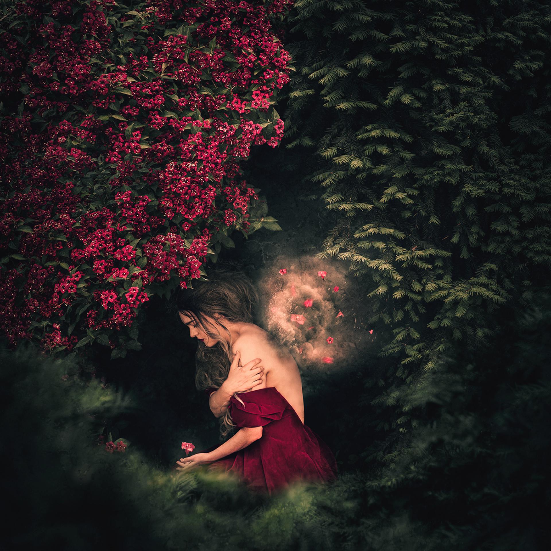 New York Photography Awards Winner - Link between two worlds
