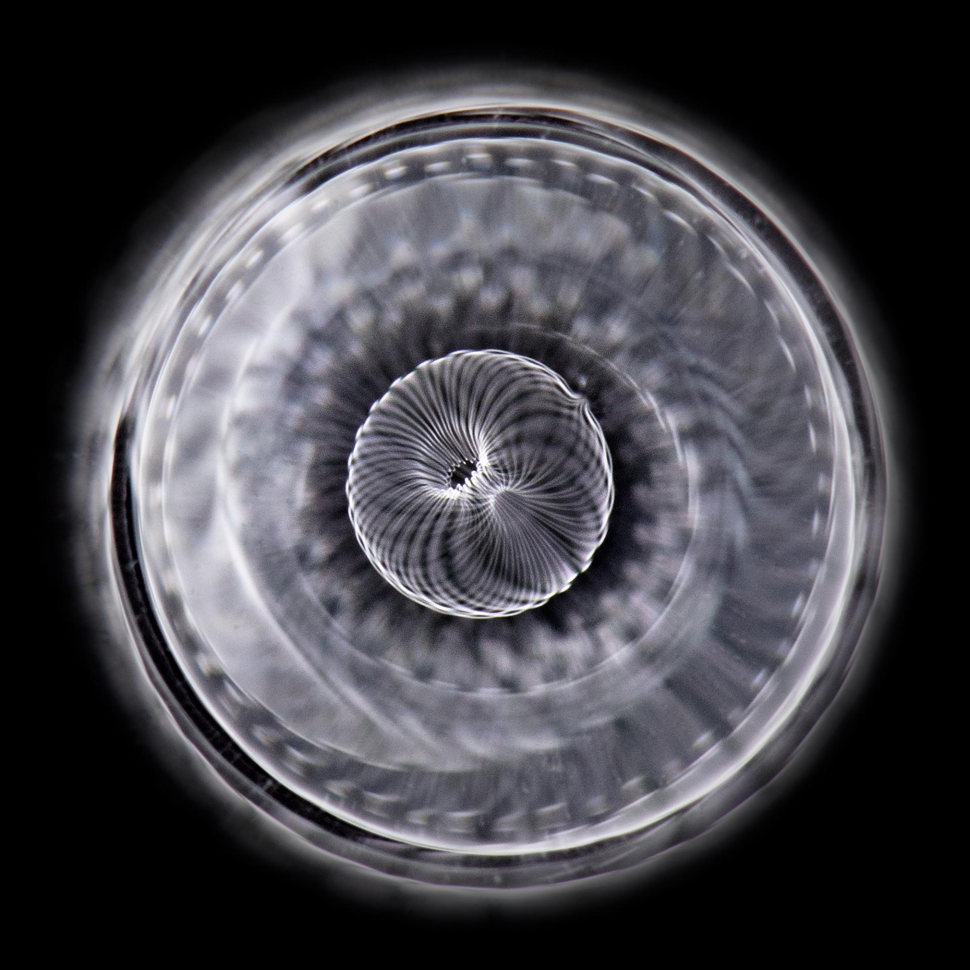 New York Photography Awards Winner - RESONANCE