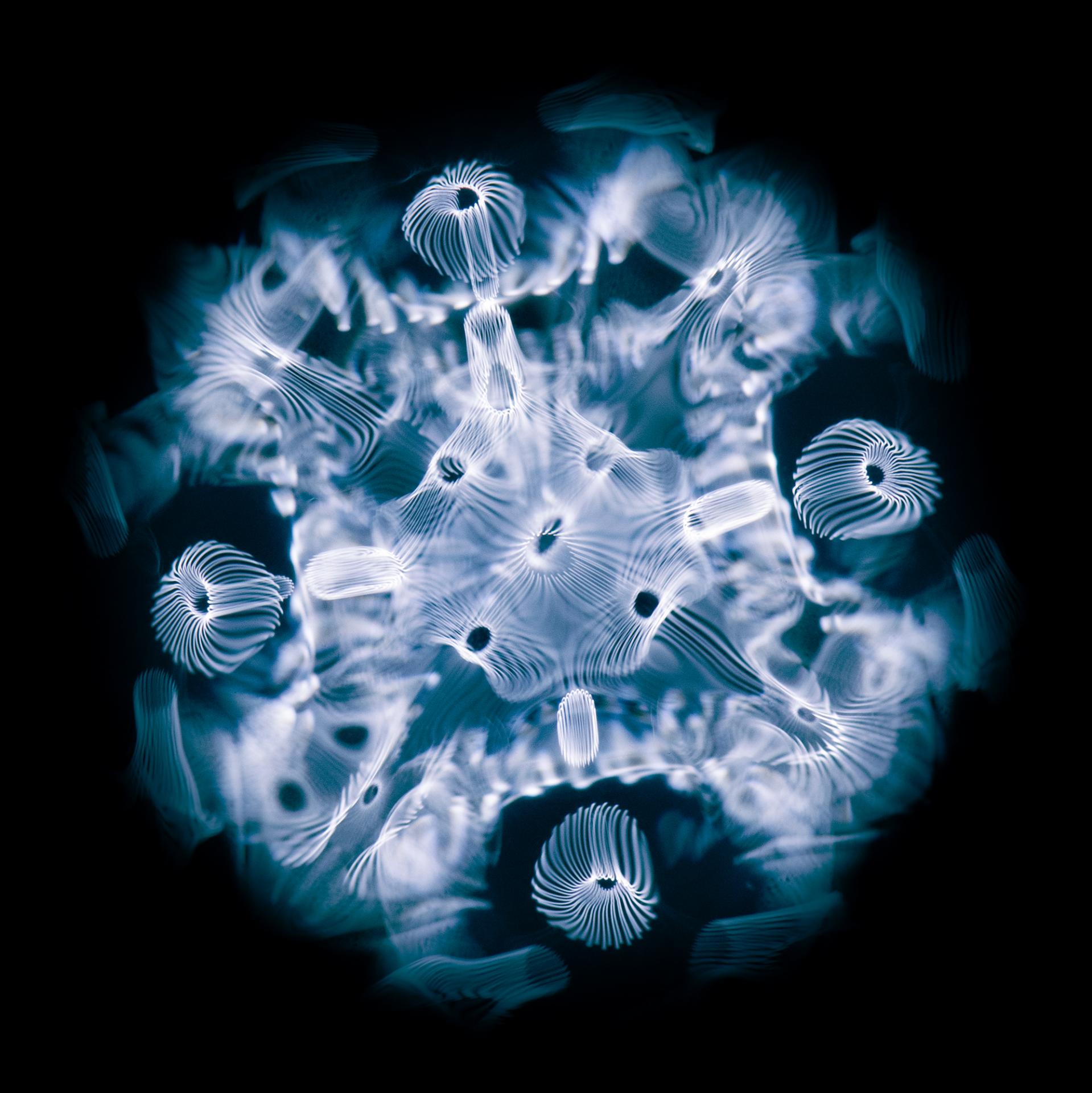 New York Photography Awards Winner - RESONANCE