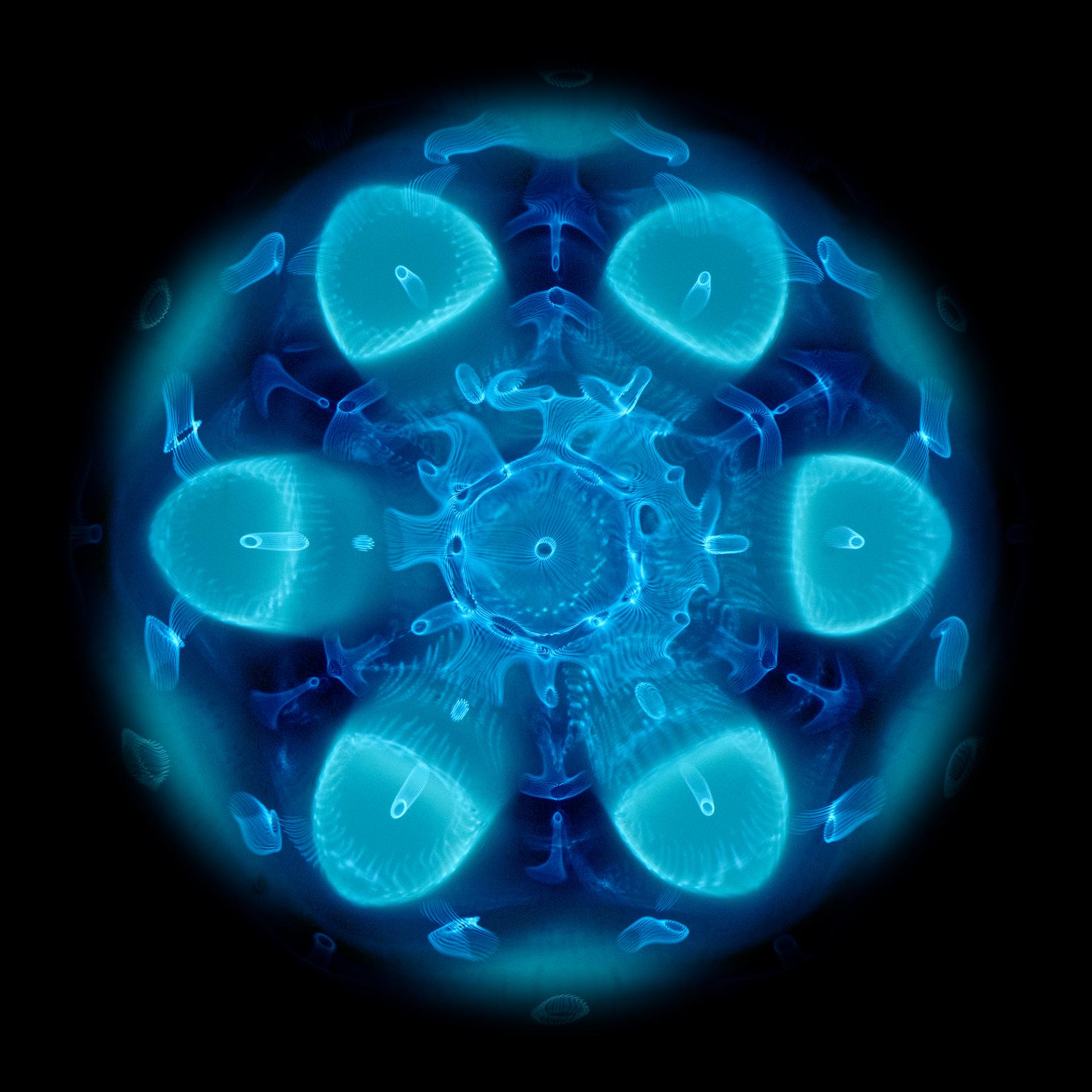 New York Photography Awards Winner - RESONANCE