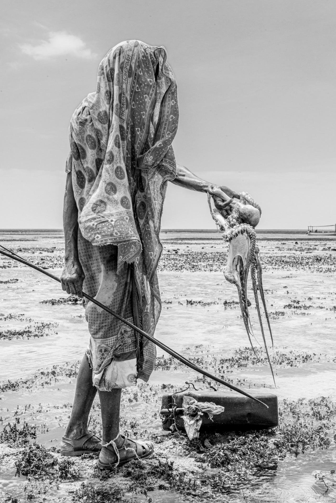 New York Photography Awards Winner - The Octopus Hunters