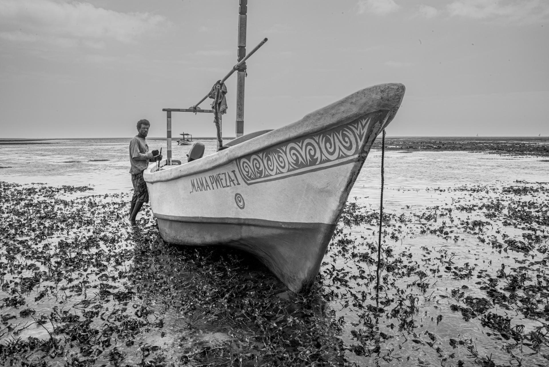 New York Photography Awards Winner - The Octopus Hunters