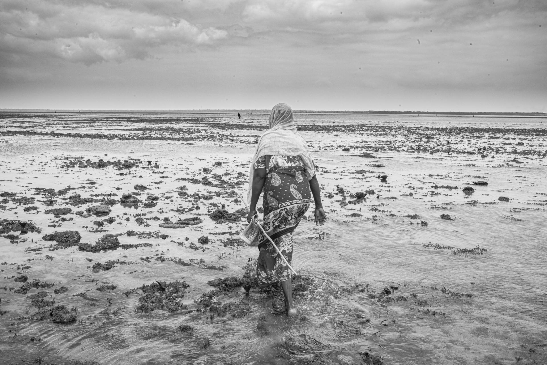 New York Photography Awards Winner - The Octopus Hunters