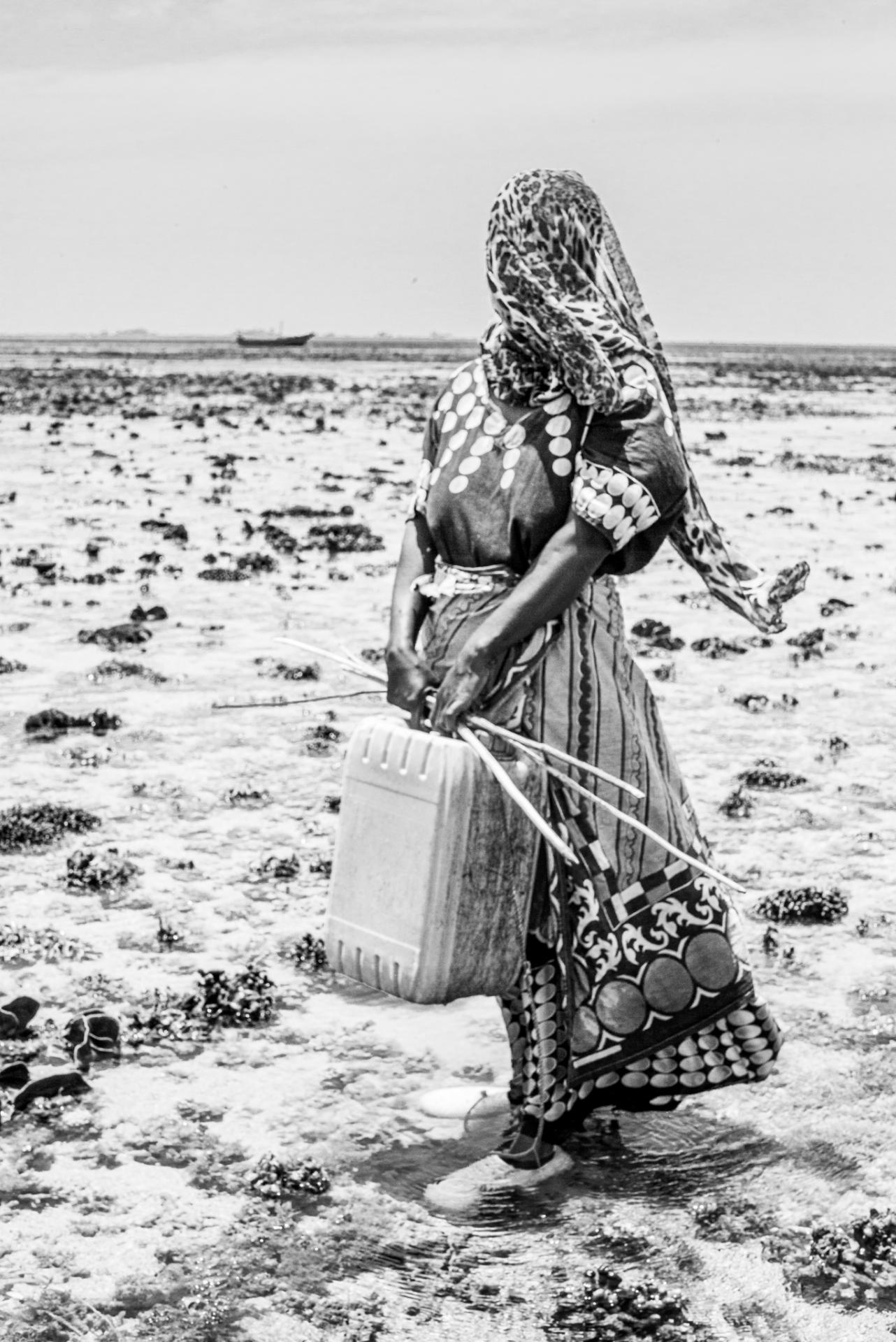 New York Photography Awards Winner - The Octopus Hunters