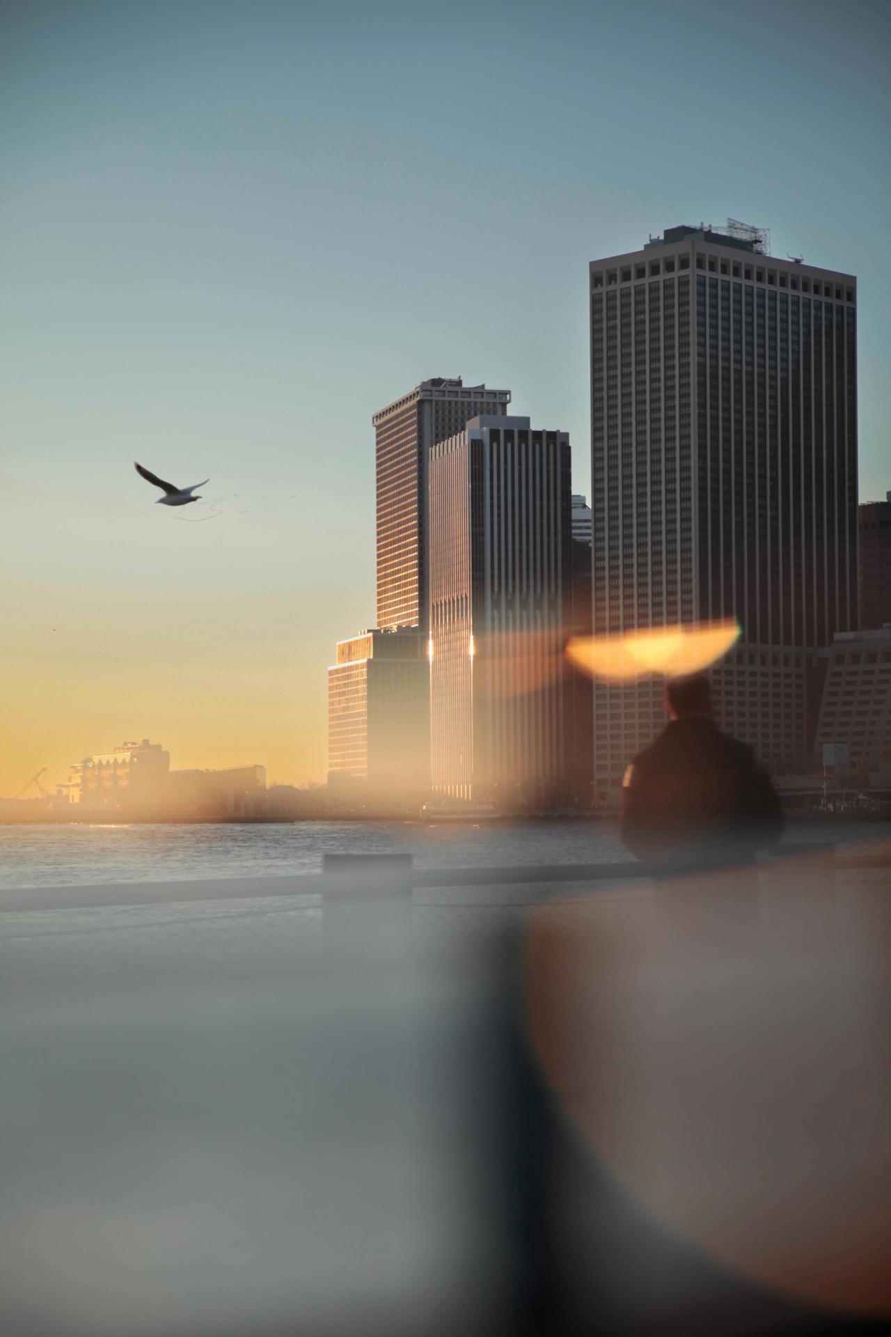 New York Photography Awards Winner - Tourista Cinematica