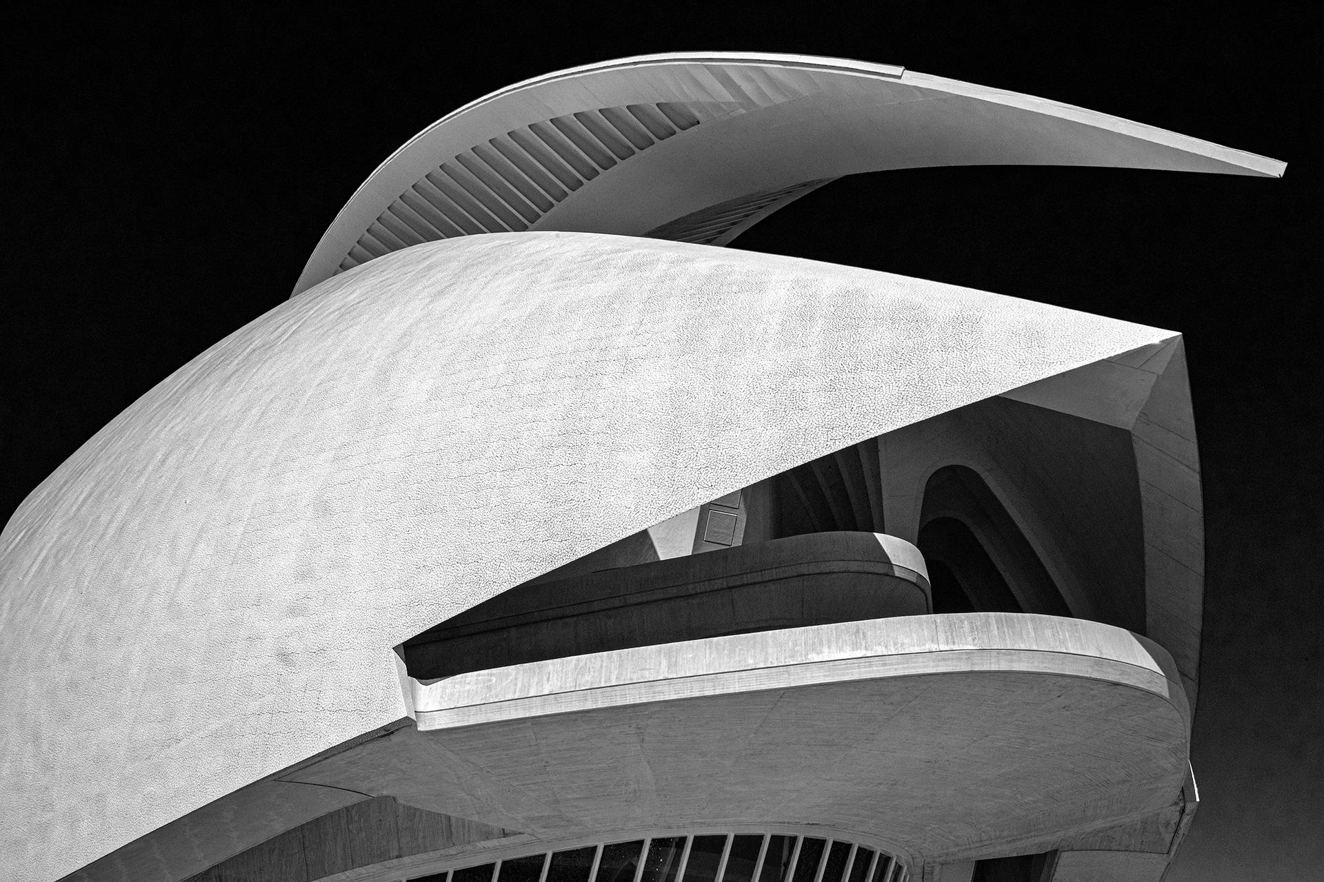 New York Photography Awards Winner - Reaching Out
